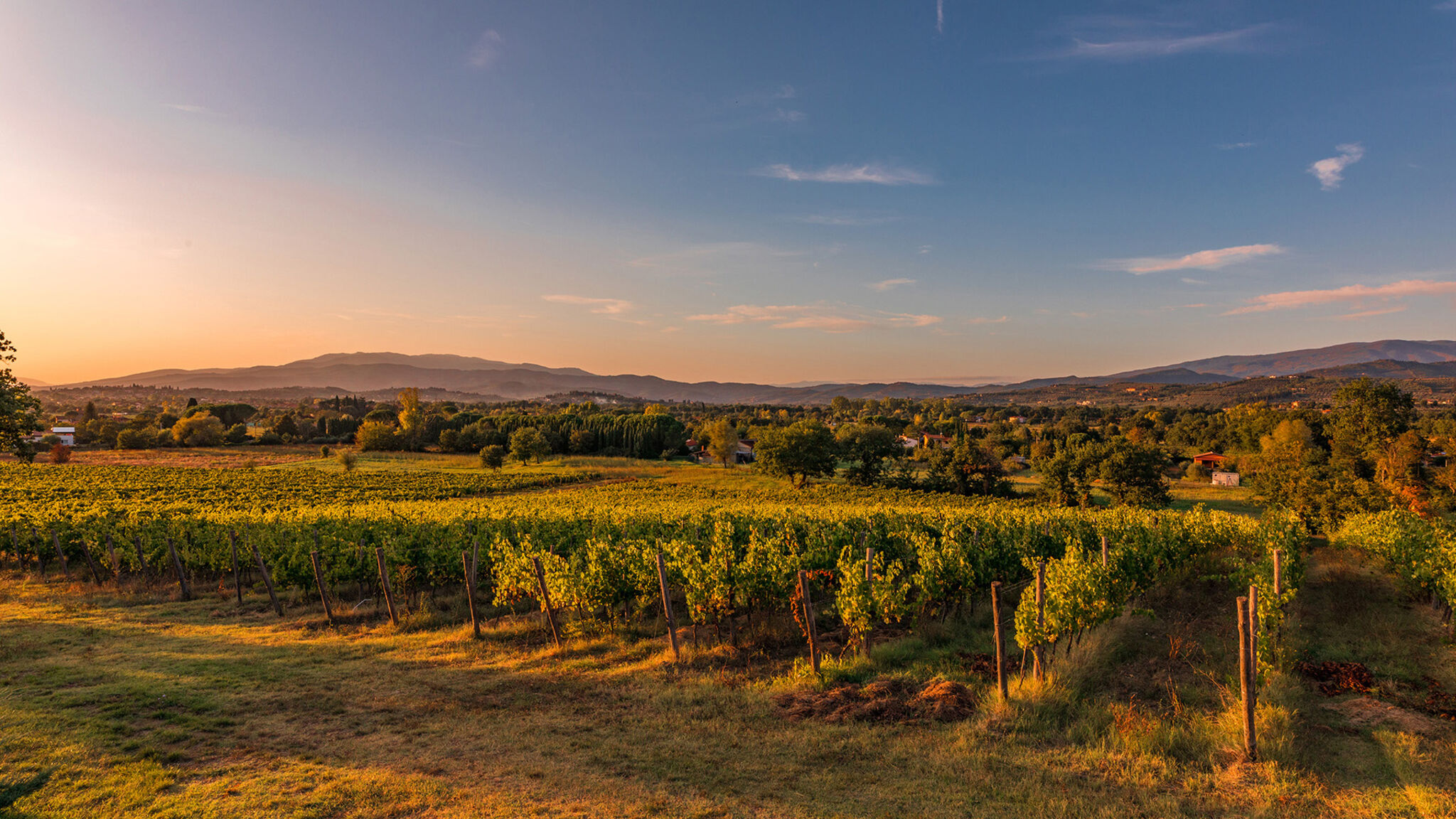 Italianway Arezzo Villa Palazzaccio 26
