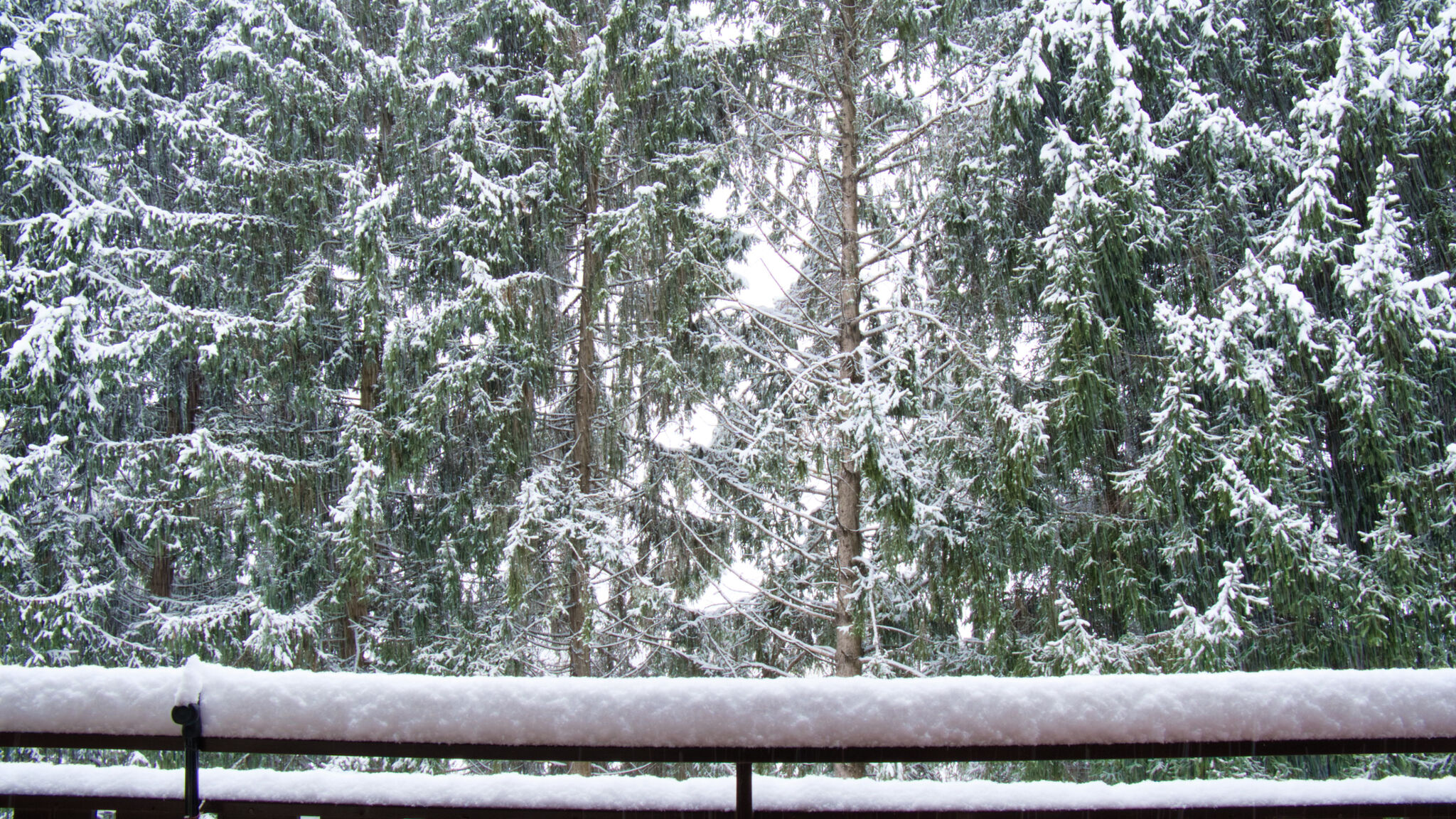 Italianway Cassina Valsassina Nido tra i Pini in Cassina Valsassina