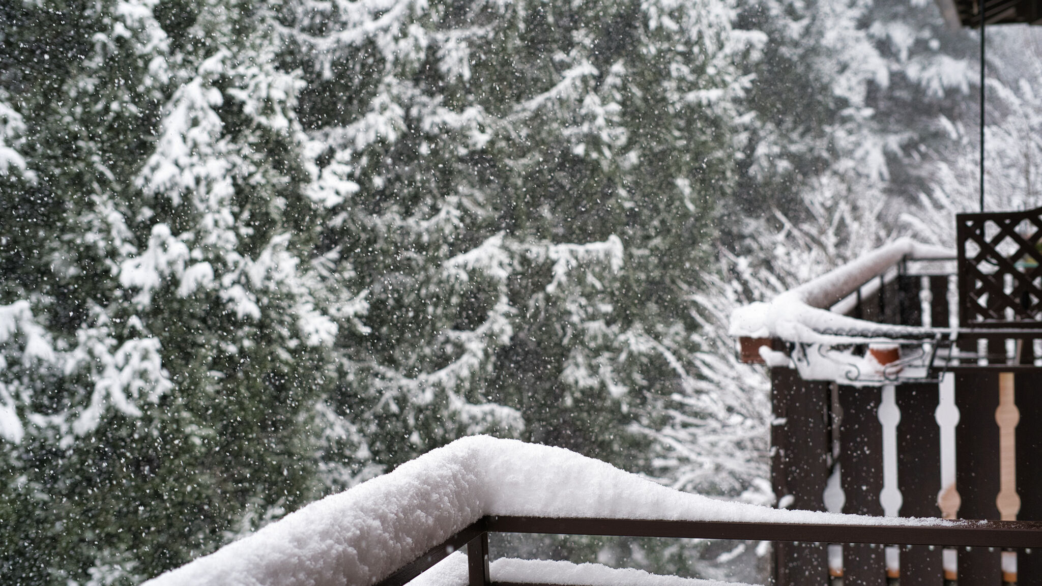 Italianway Cassina Valsassina Nido tra i Pini in Cassina Valsassina