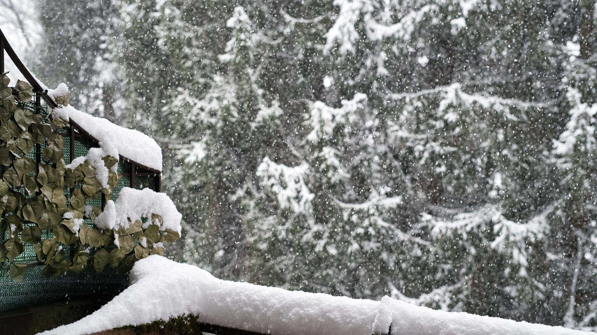 Italianway Cassina Valsassina Nido tra i Pini in Cassina Valsassina