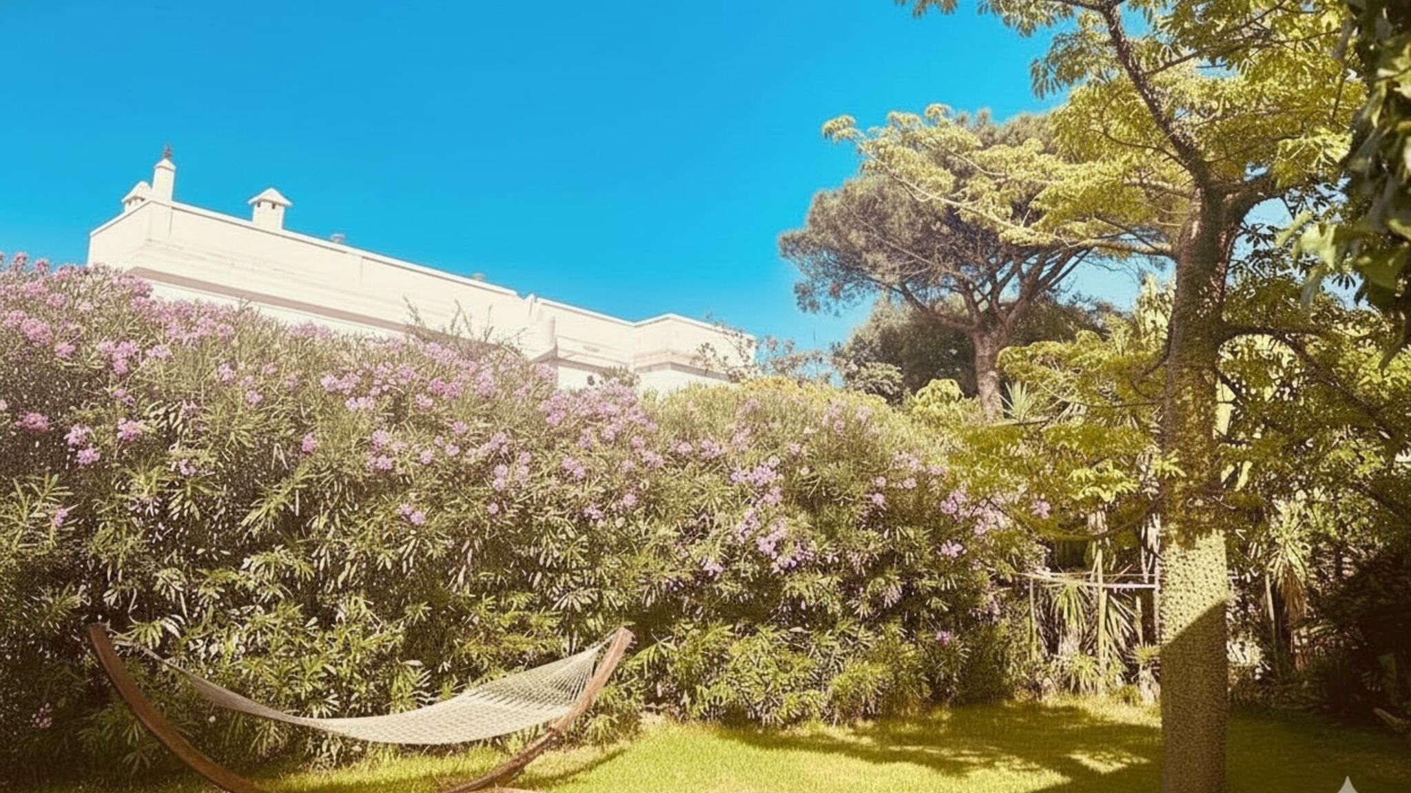 Italianway Ischia Il ciliegio