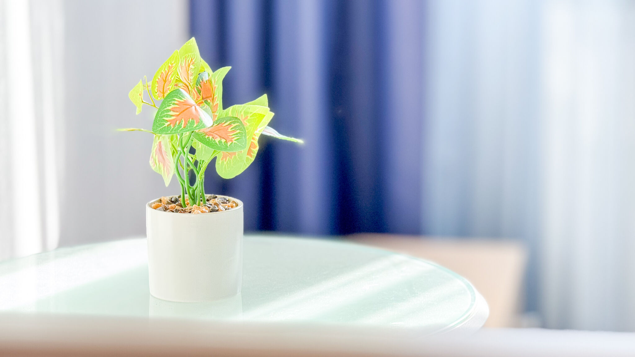 Italianway Chioggia Liam & Leo Suite by Ca-Sa Check