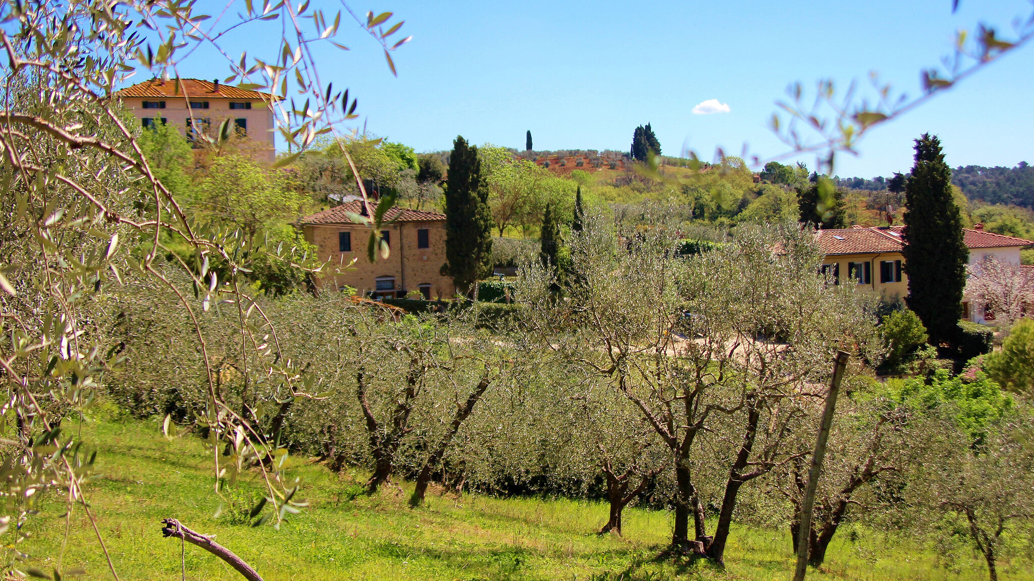 Italianway Poggibonsi Gufo - Romantico appartamento nel Chianti+piscina