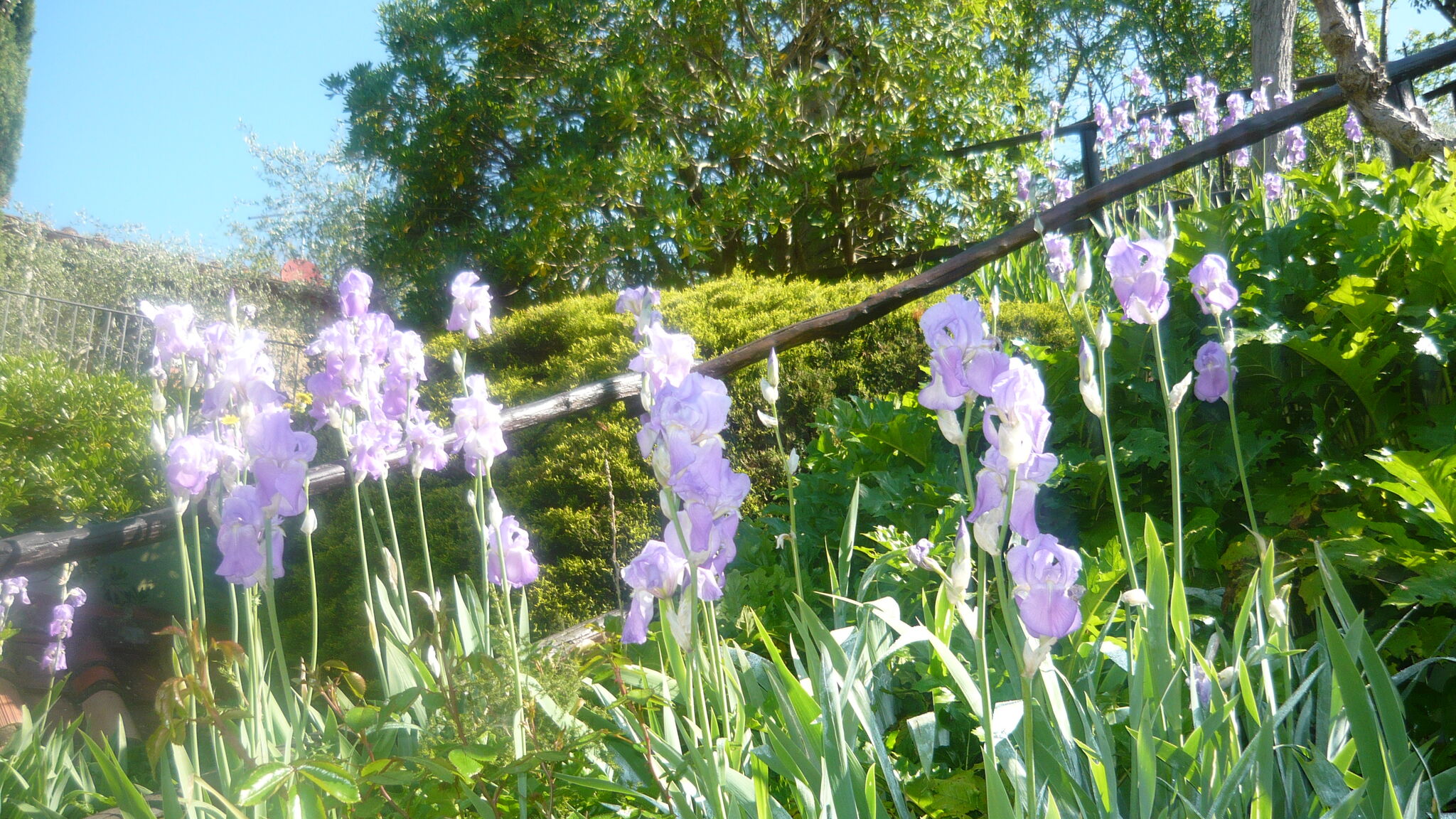 Italianway Poggibonsi Gufo - Romantico appartamento nel Chianti+piscina