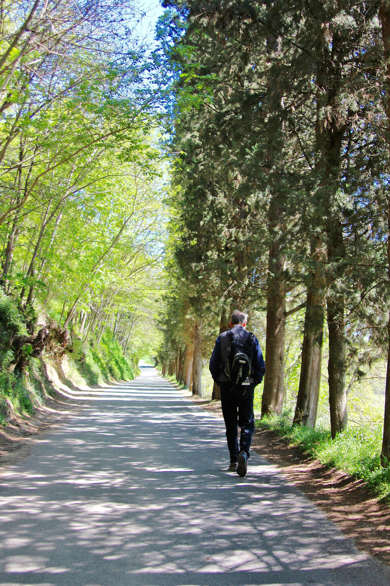 Italianway Poggibonsi Falco – Casa toscana+piscina vicino S. Gimignano