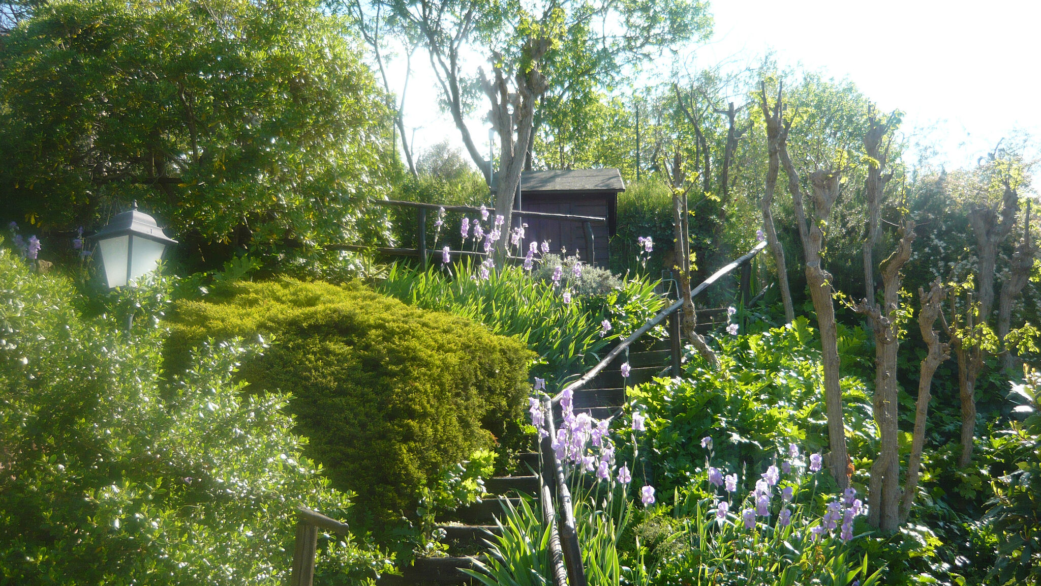 Italianway Poggibonsi Falco – Casa toscana+piscina vicino S. Gimignano