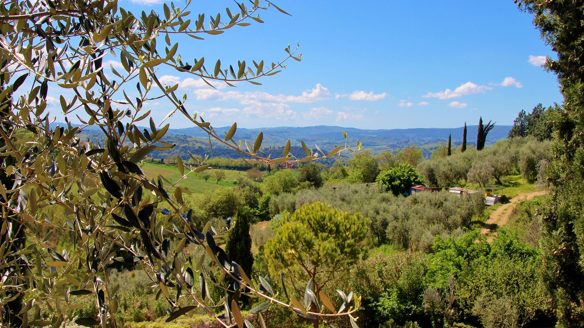 Italianway Poggibonsi Falco – Casa toscana+piscina vicino S. Gimignano