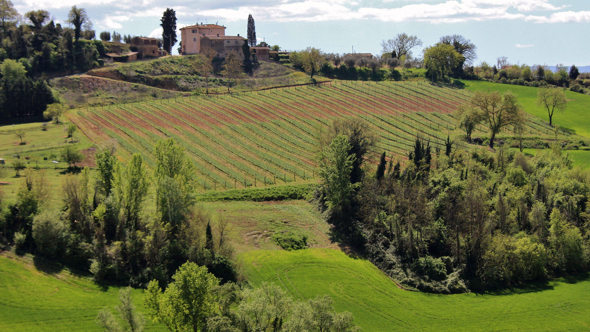 Italianway Poggibonsi Passero – Casa nel Chianti per famiglia+piscina