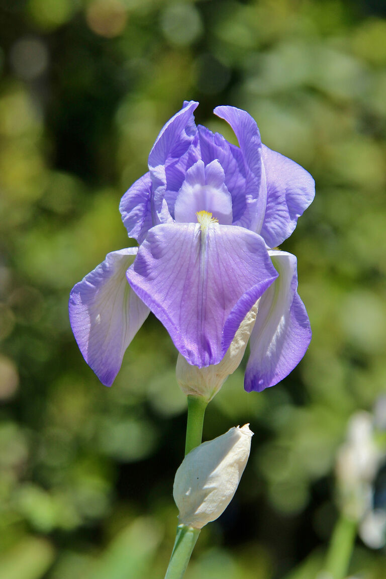 Italianway Poggibonsi Passero – Casa nel Chianti per famiglia+piscina