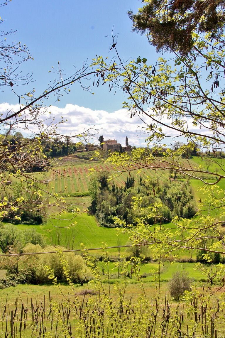 Italianway Poggibonsi Passero – Casa nel Chianti per famiglia+piscina