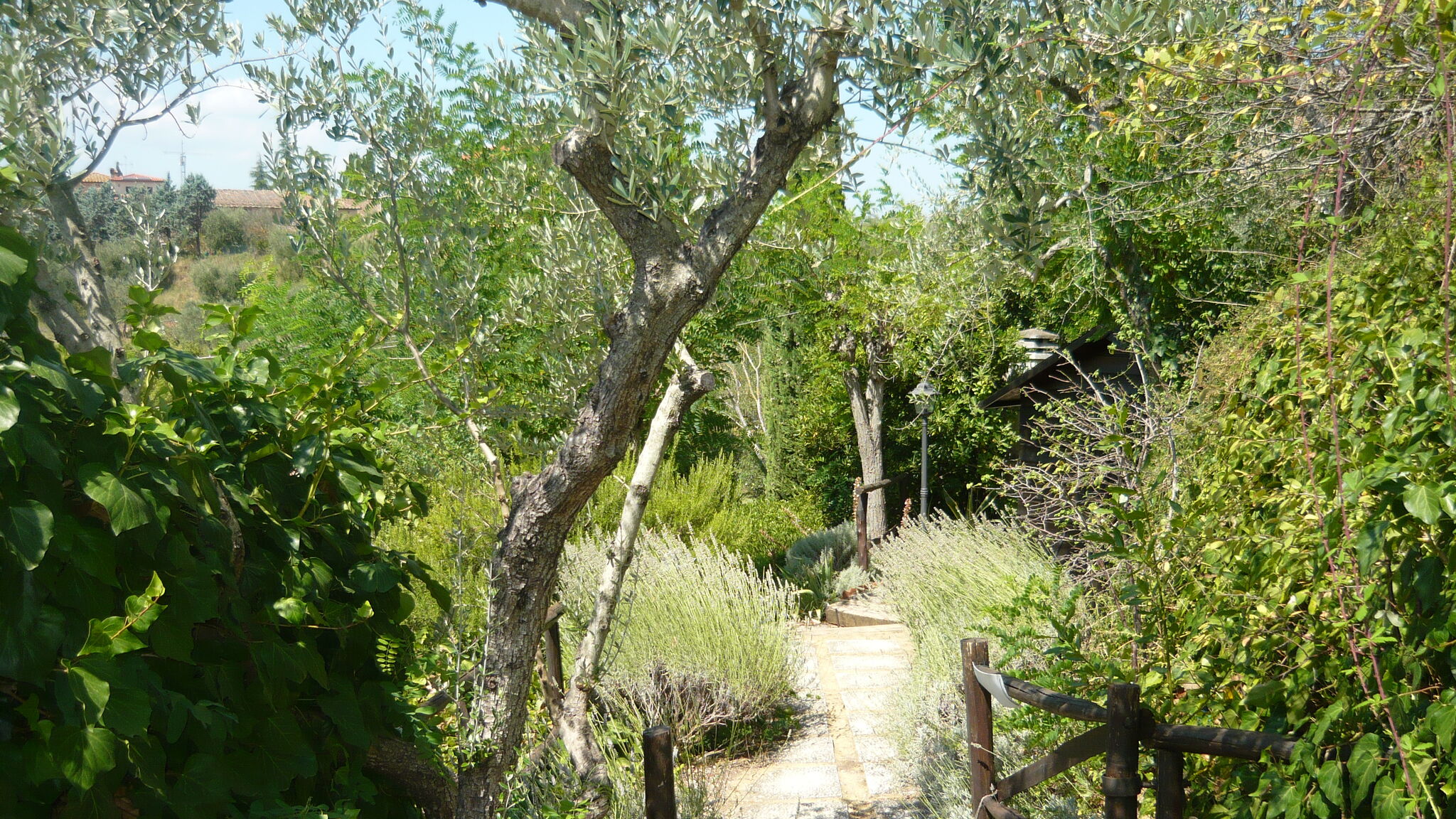 Italianway Poggibonsi Passero – Casa nel Chianti per famiglia+piscina