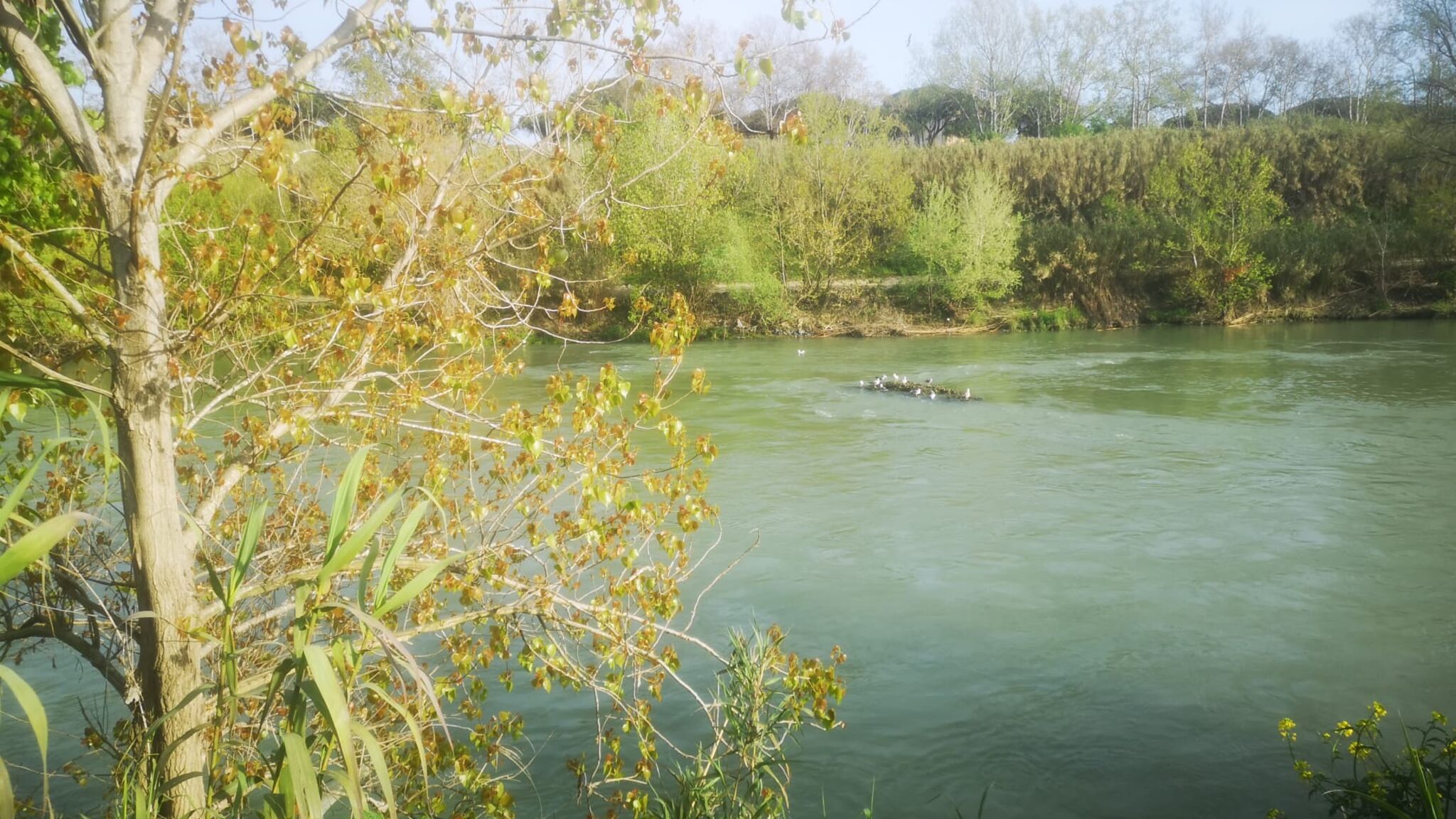 Italianway Roma Maddy House Roma