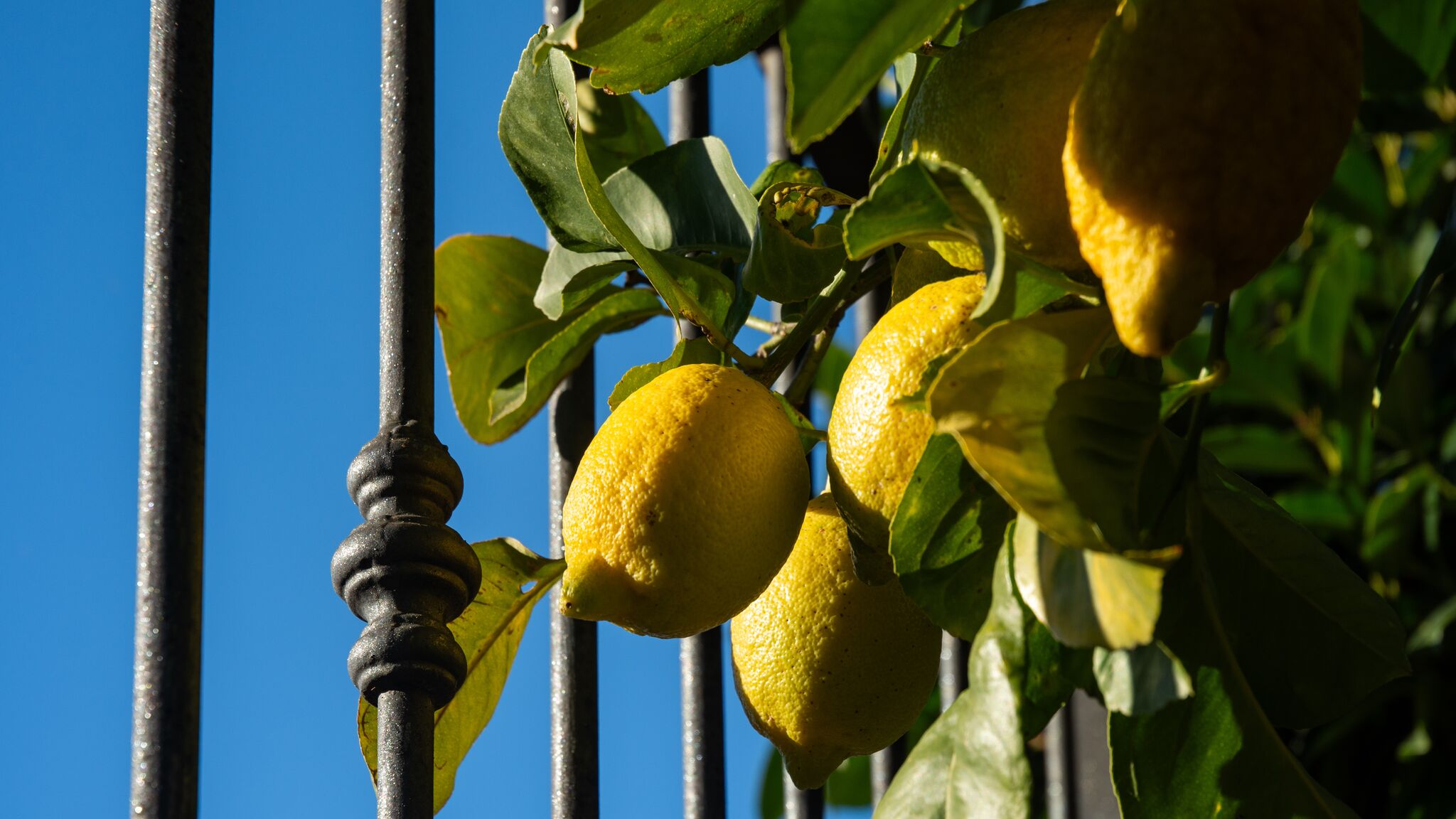 Italianway Riano A 15 Miglia da Roma