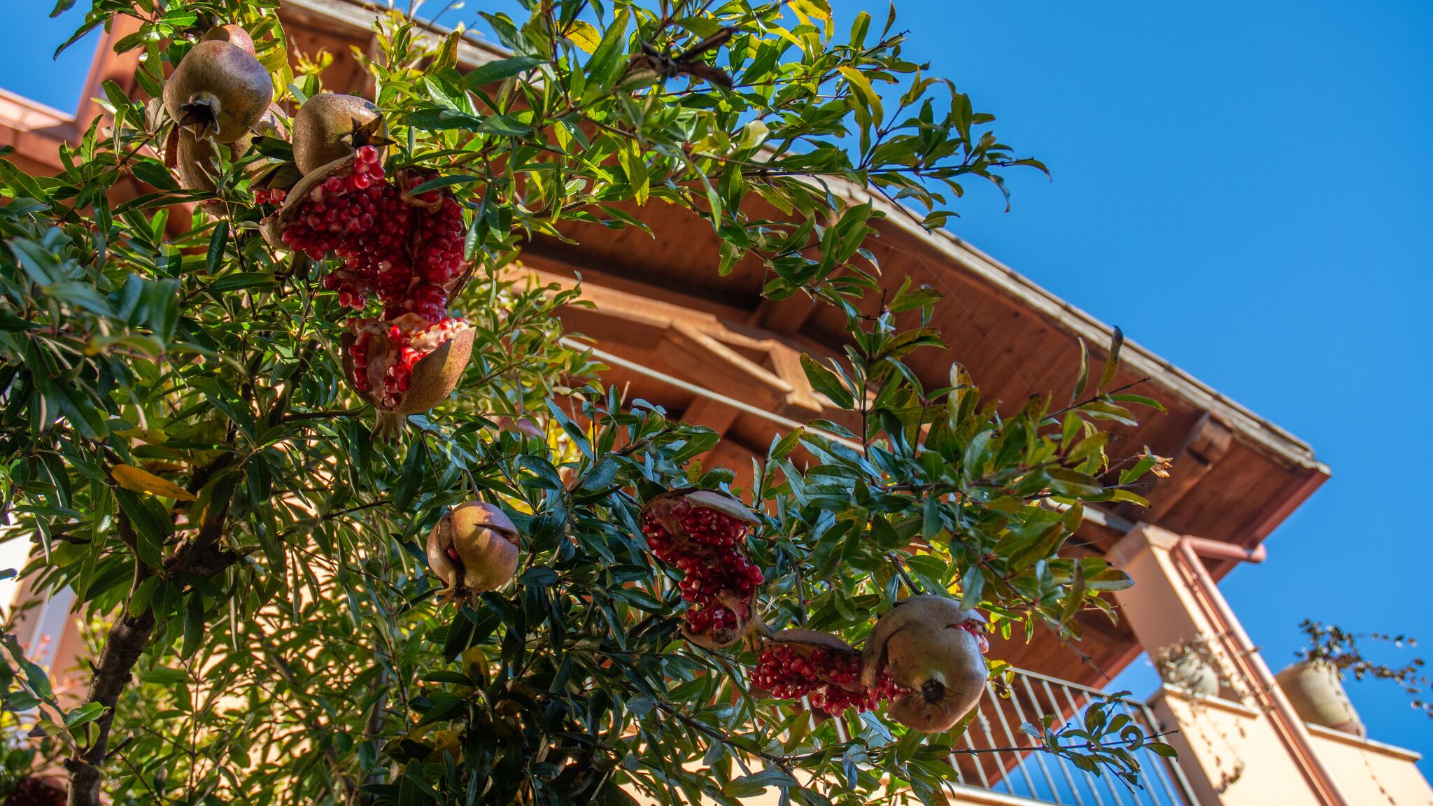 Italianway Riano A 15 Miglia da Roma