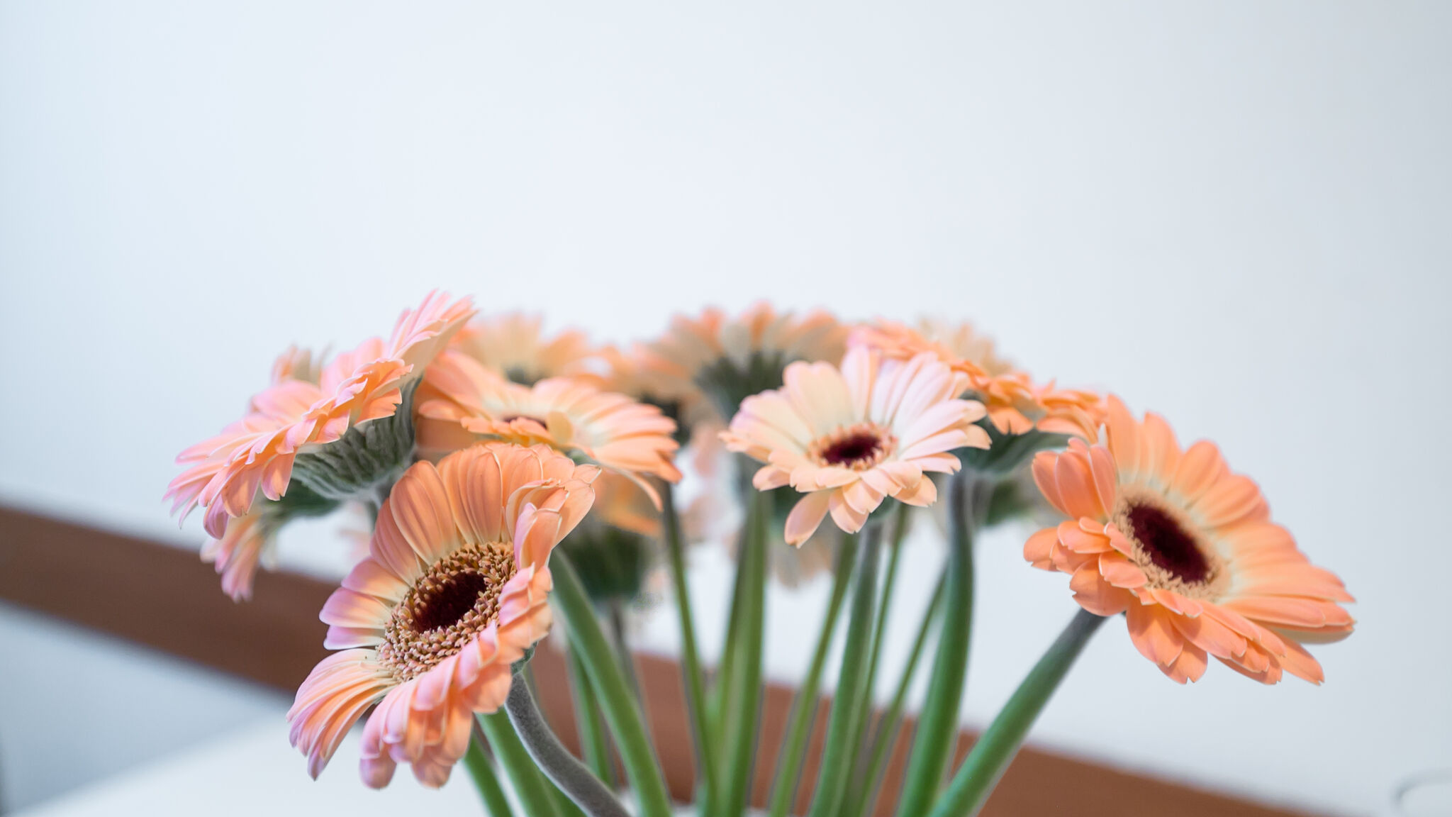 Italianway Milano Boncompagni 2