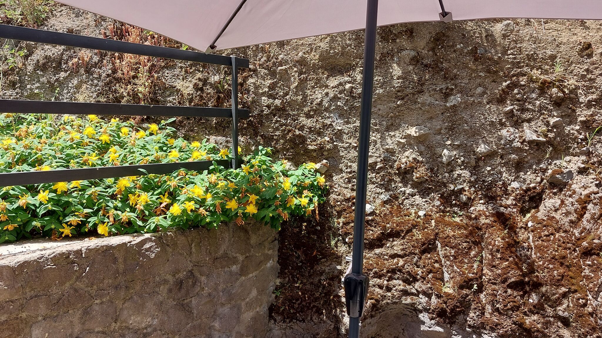 Italianway Montefiascone Il Rifugio delle Brunorie