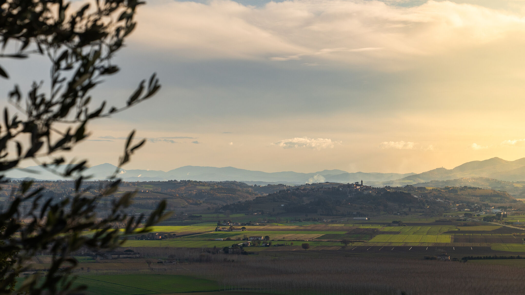 Italianway Palaia Pura Apartment