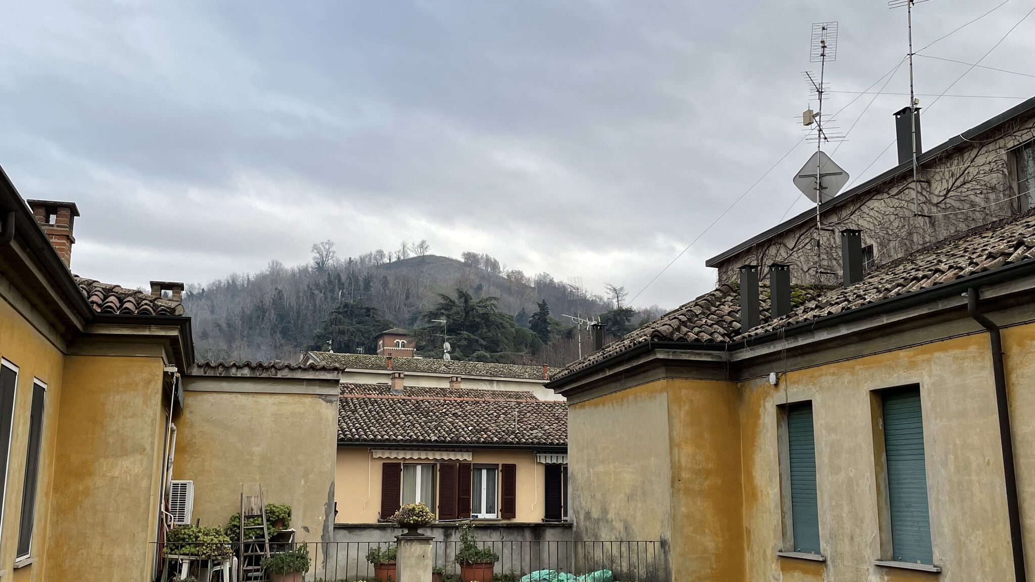 Italianway Broni Fior Di Sambuco