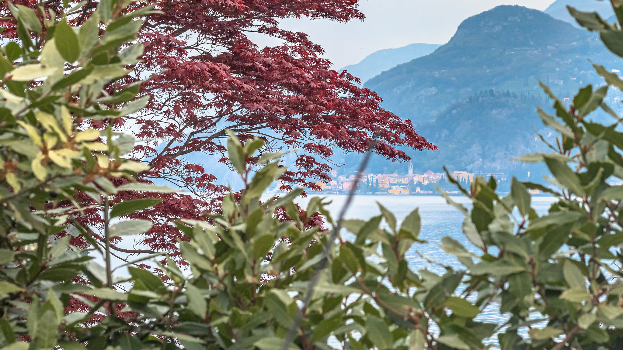 Italianway Bellagio Pescallo Garden Retreat