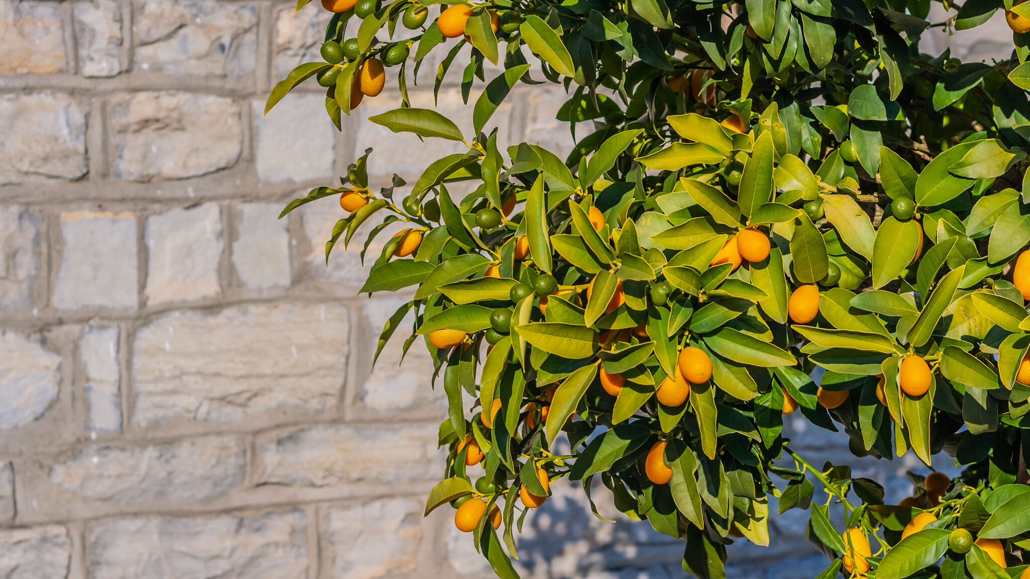 Italianway Bellagio La Baia Apartment