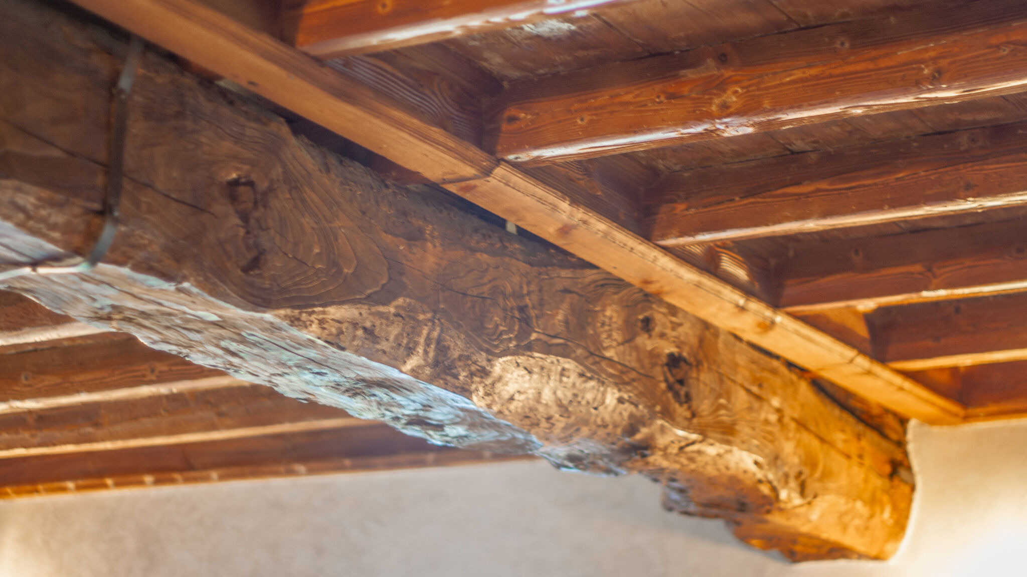 Italianway Bellagio Domus Elena Lakeview