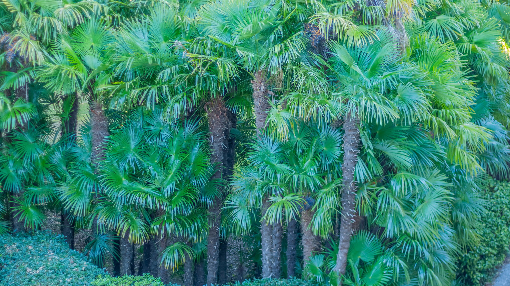 Italianway Bellagio Domus Elena Lakeview