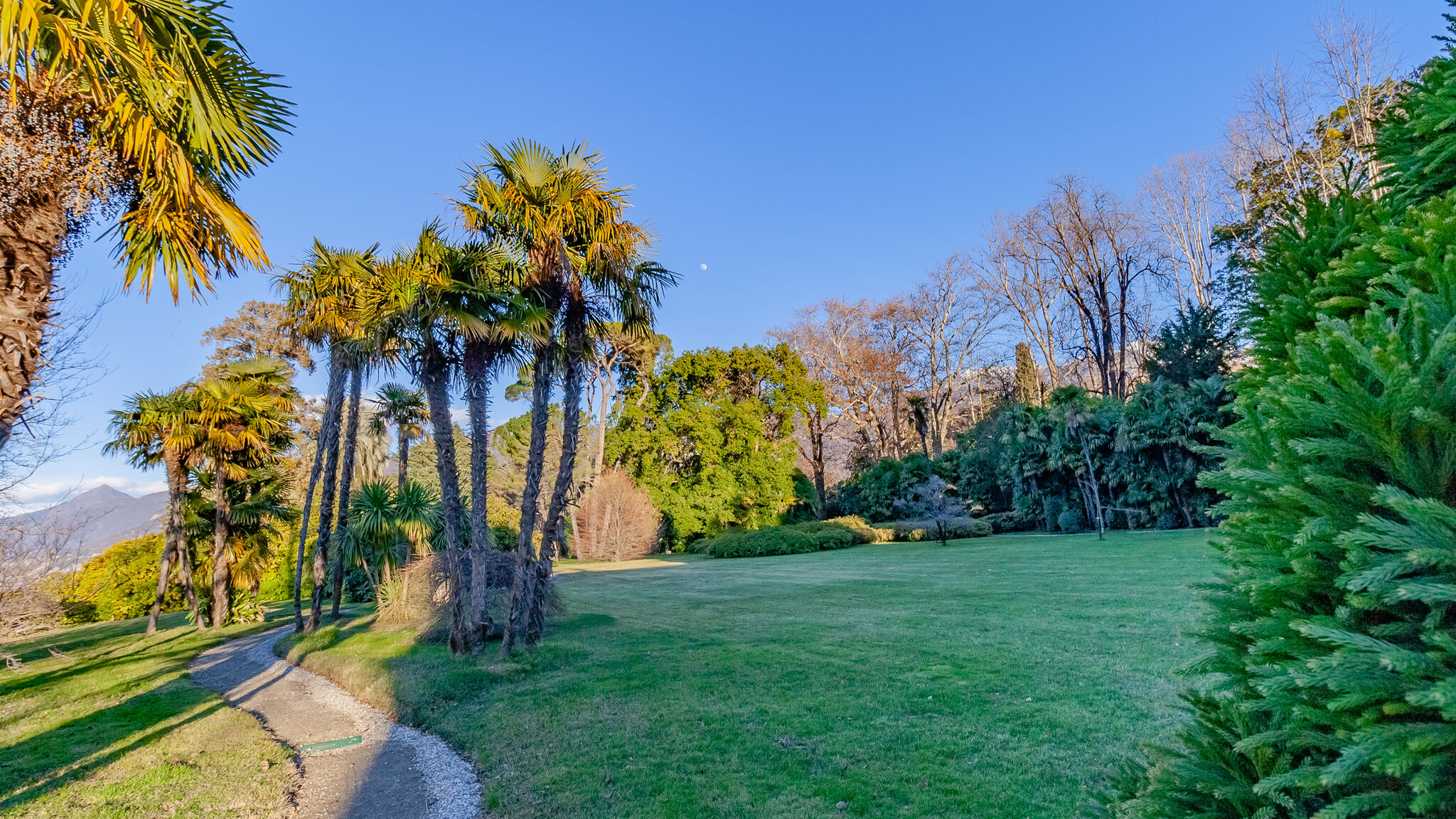 Italianway Bellagio Domus Elena Lakeview