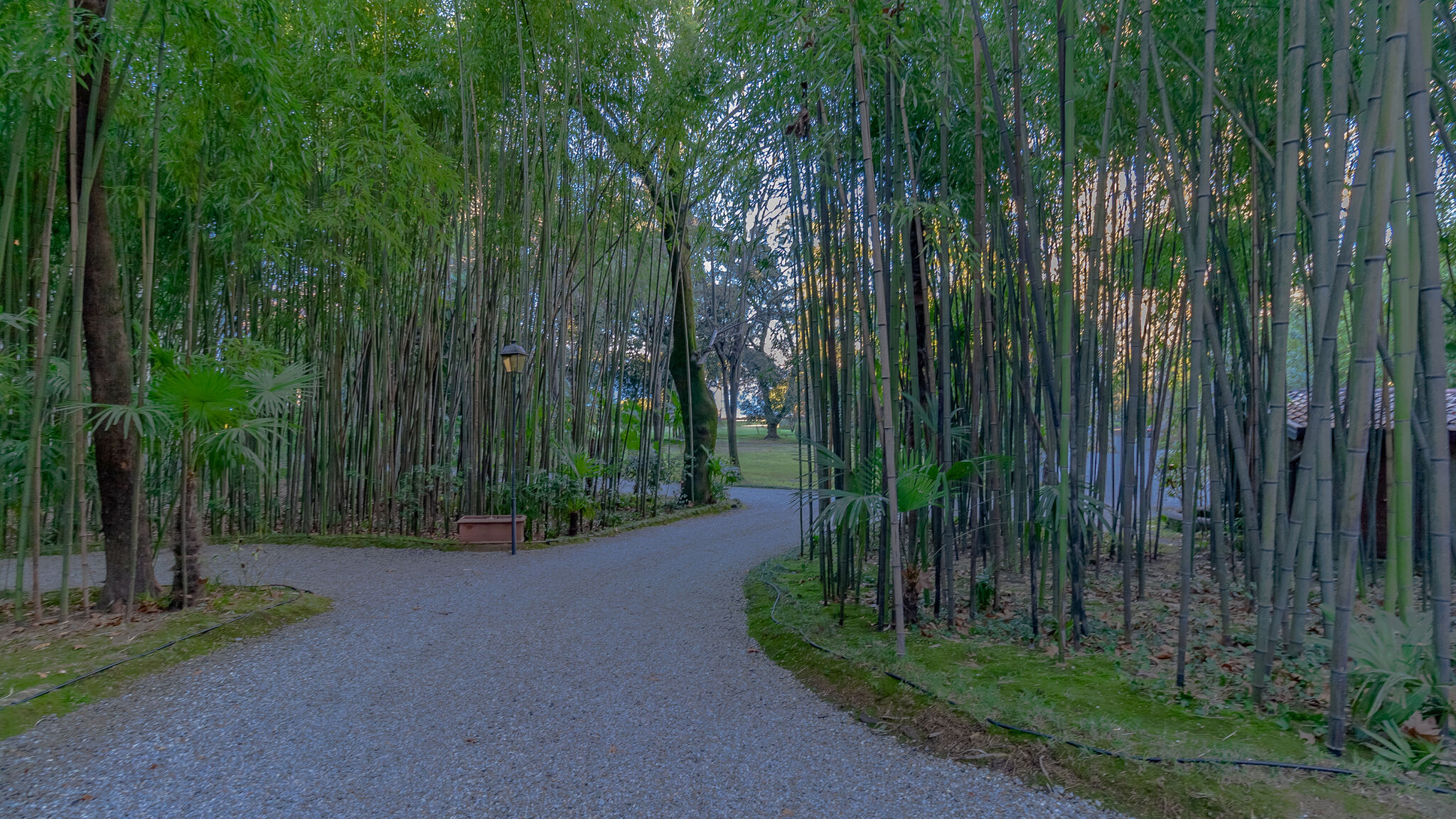 Italianway Bellagio Domus Elena Lakeview