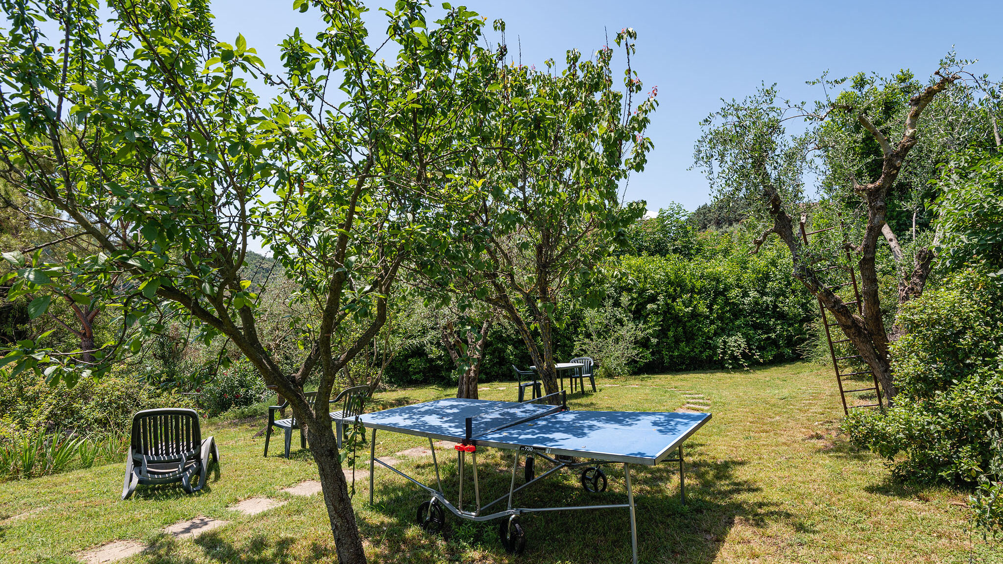 Italianway Poggibonsi Podere Oliveta: 5 appartamenti + piscina con vista