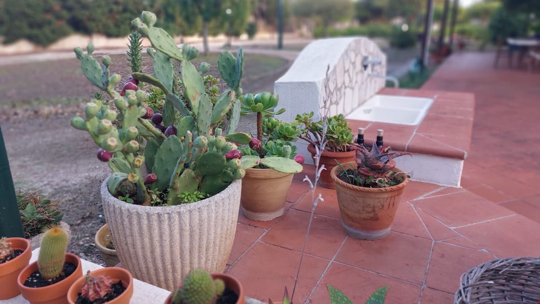 Italianway Lecce Villa Sole