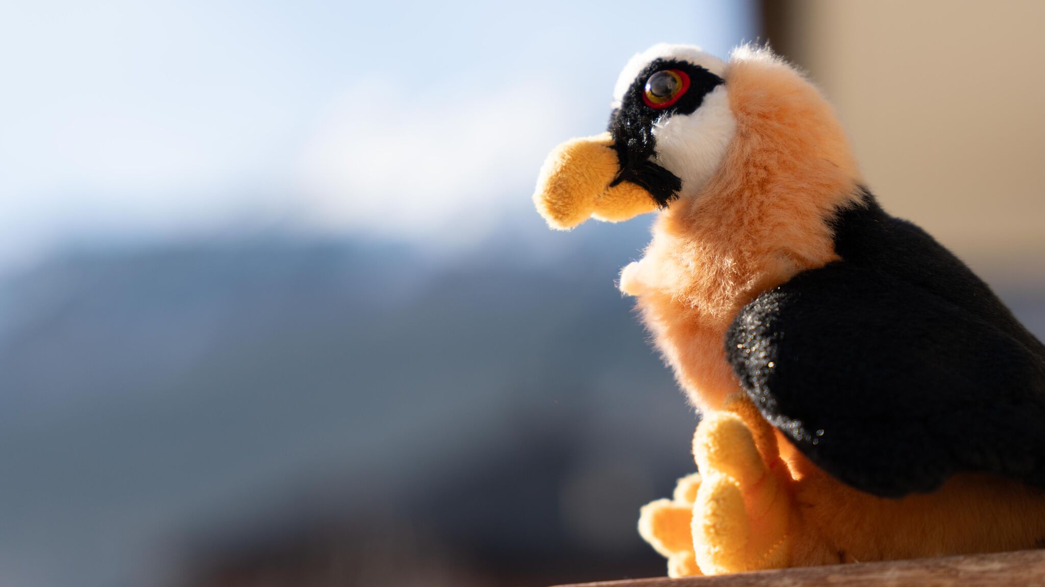 Italianway Bormio Castellazzi 11 Gipeto