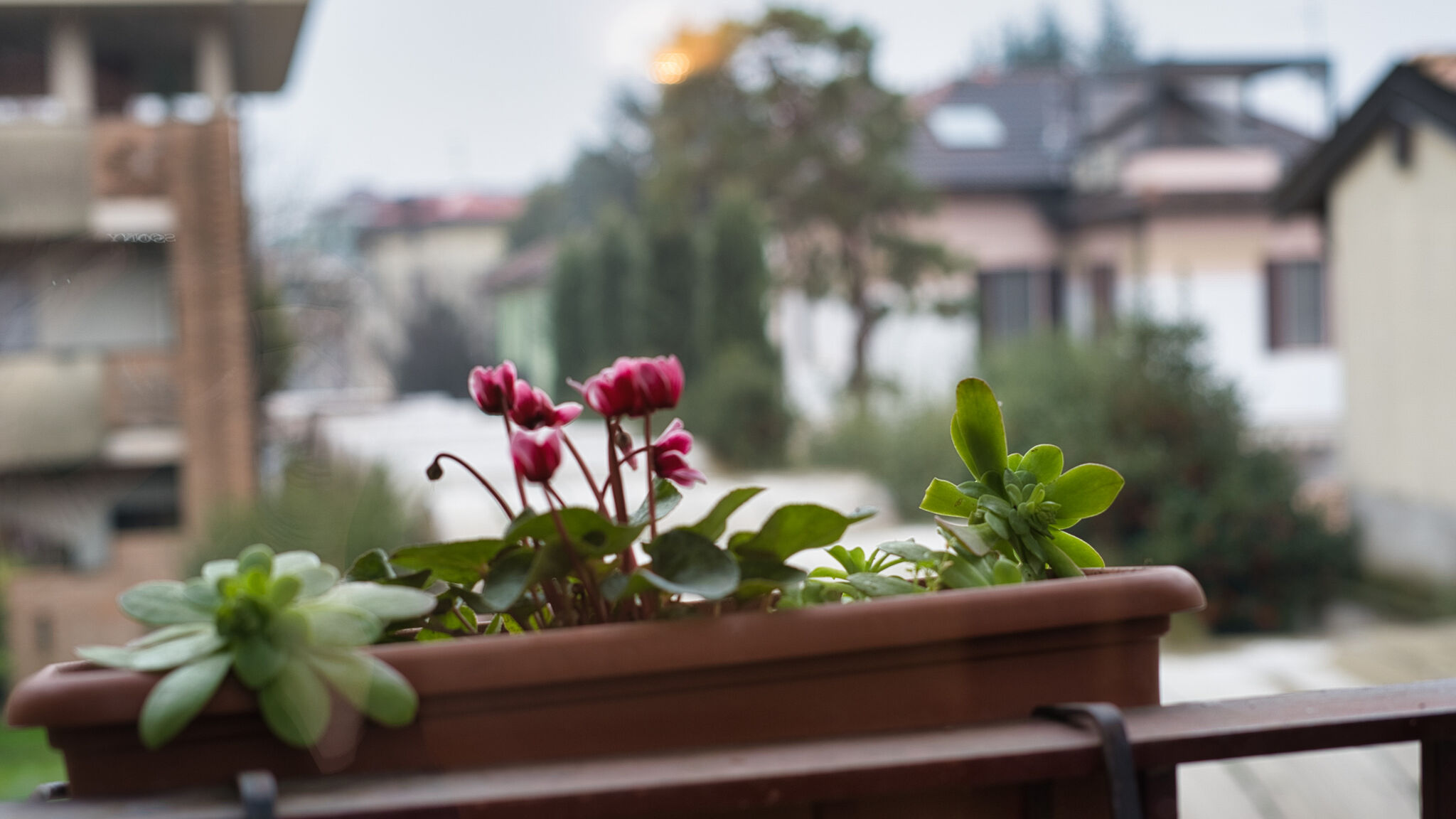 Italianway Abbiategrasso Appartamento 5 Giornate