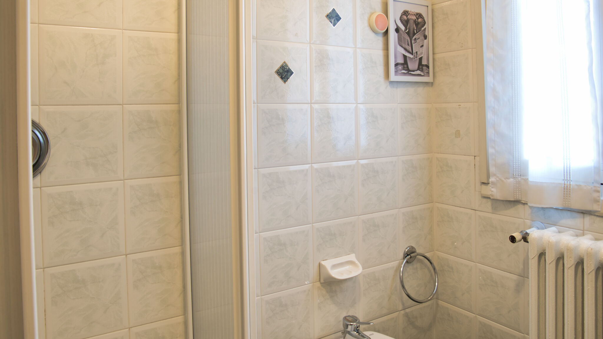 Italianway Barzio Garden - Pino Mugo