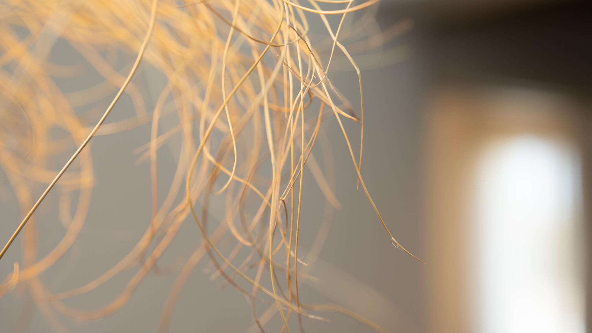 Italianway Ispica Villa Pensiero Stupendo con piscina privata 