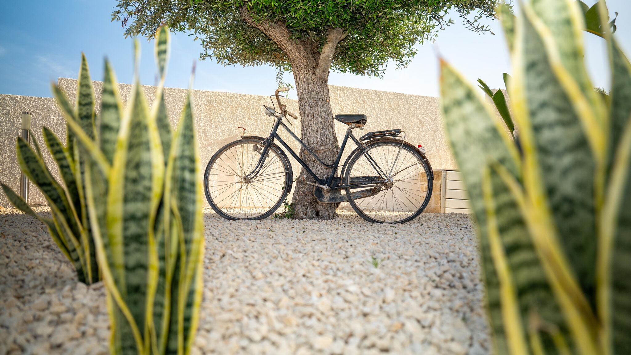 Italianway Ispica Villa Pensiero Stupendo con piscina privata 