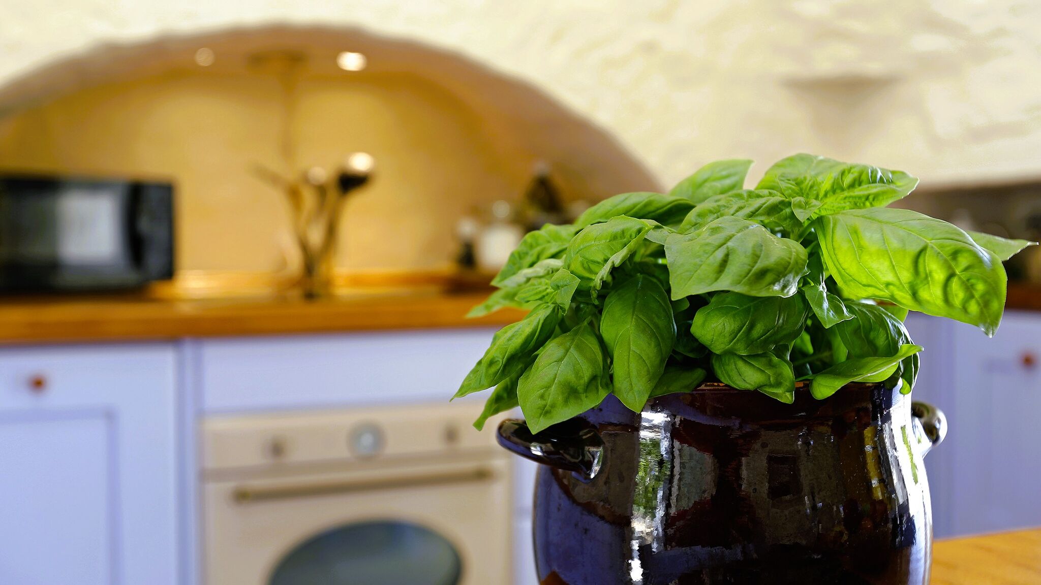 Italianway Martina Franca Trullo Domus Laeta