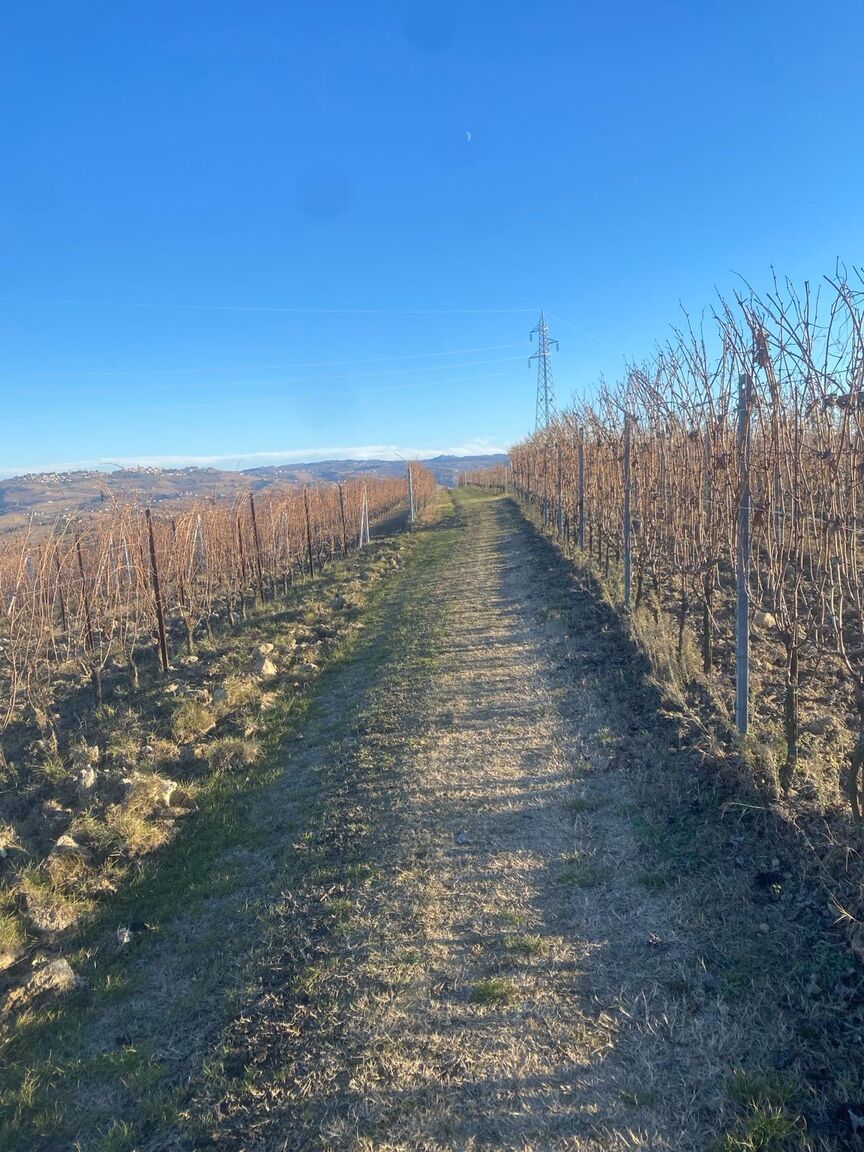 Italianway Roddi Casa a Roddi con vista sulle Colline