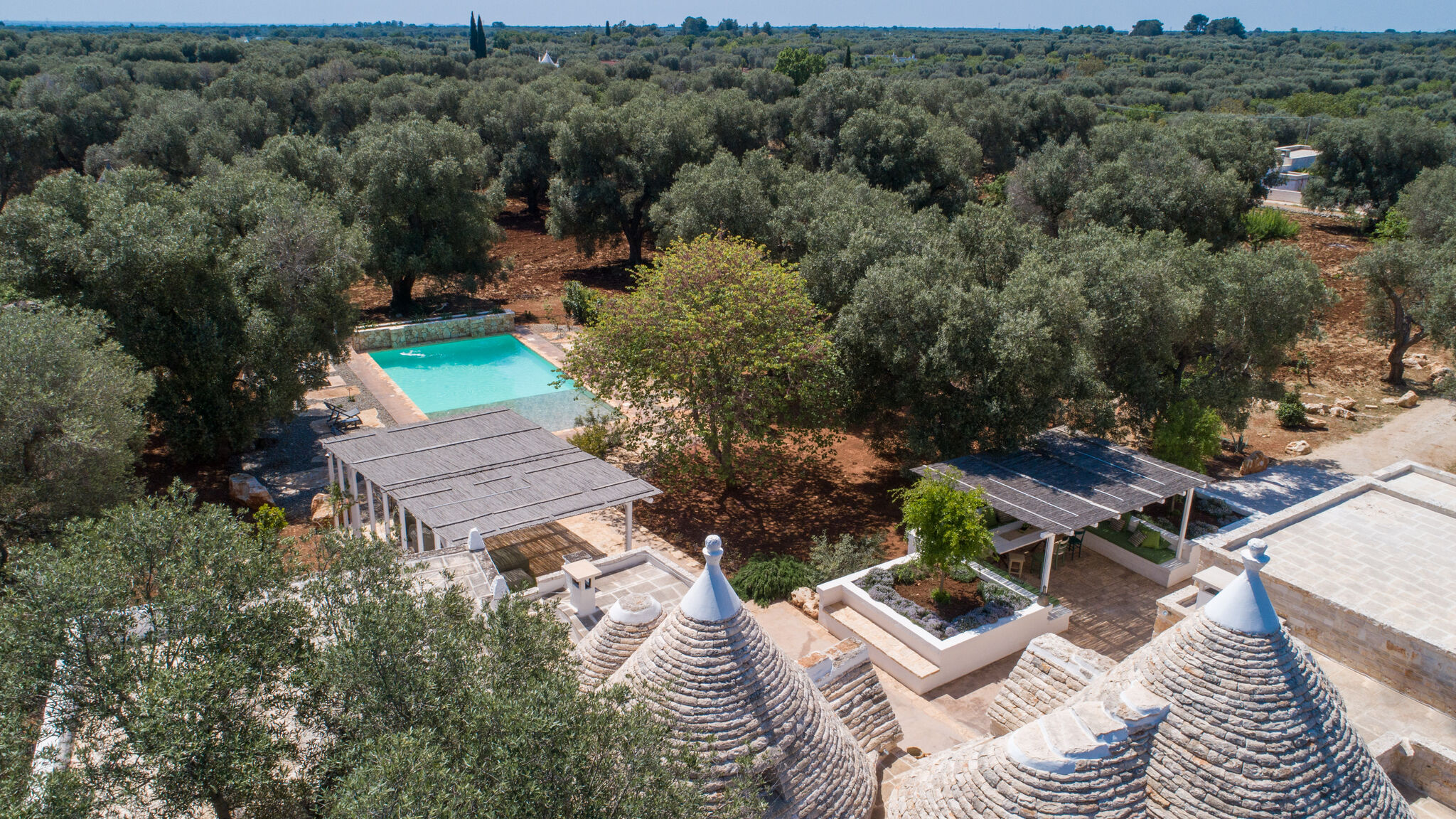 Italianway Ceglie Messapica Trulli, cicale e olive - Le Case di Valentina