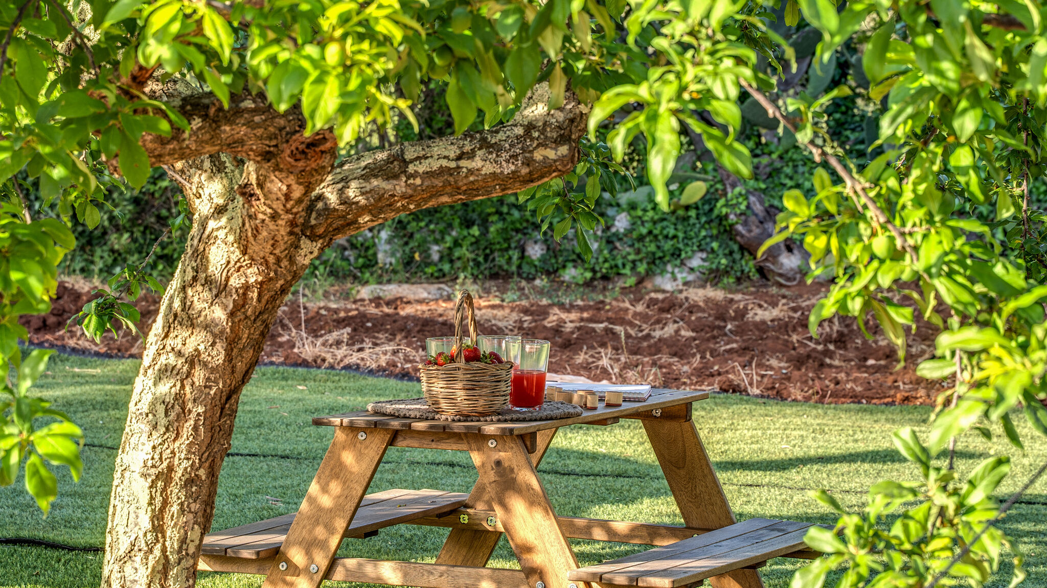 Italianway Ceglie Messapica Trulli, cicale e olive - Le Case di Valentina