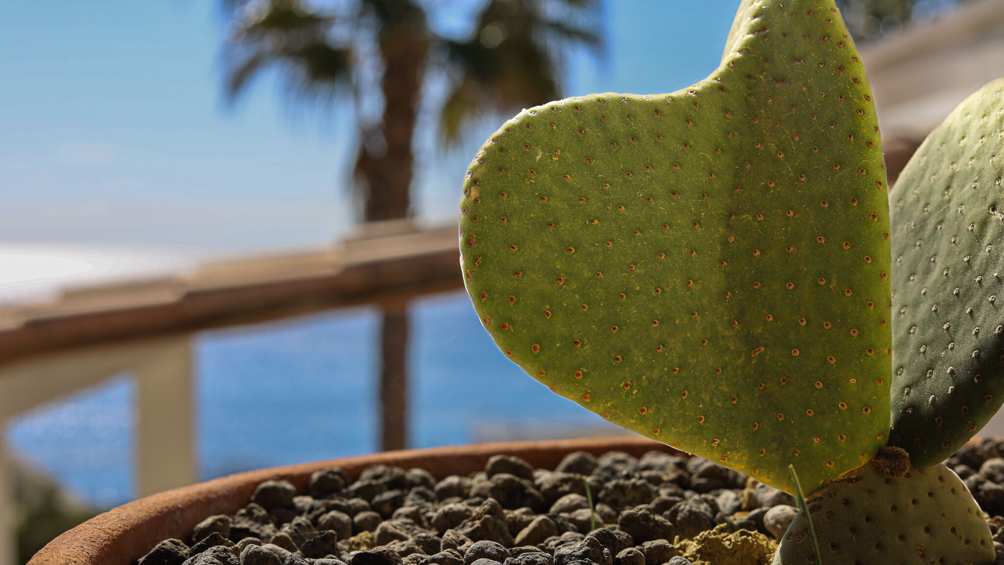 Italianway Nardò Villetta sul mare by Casa di Marco