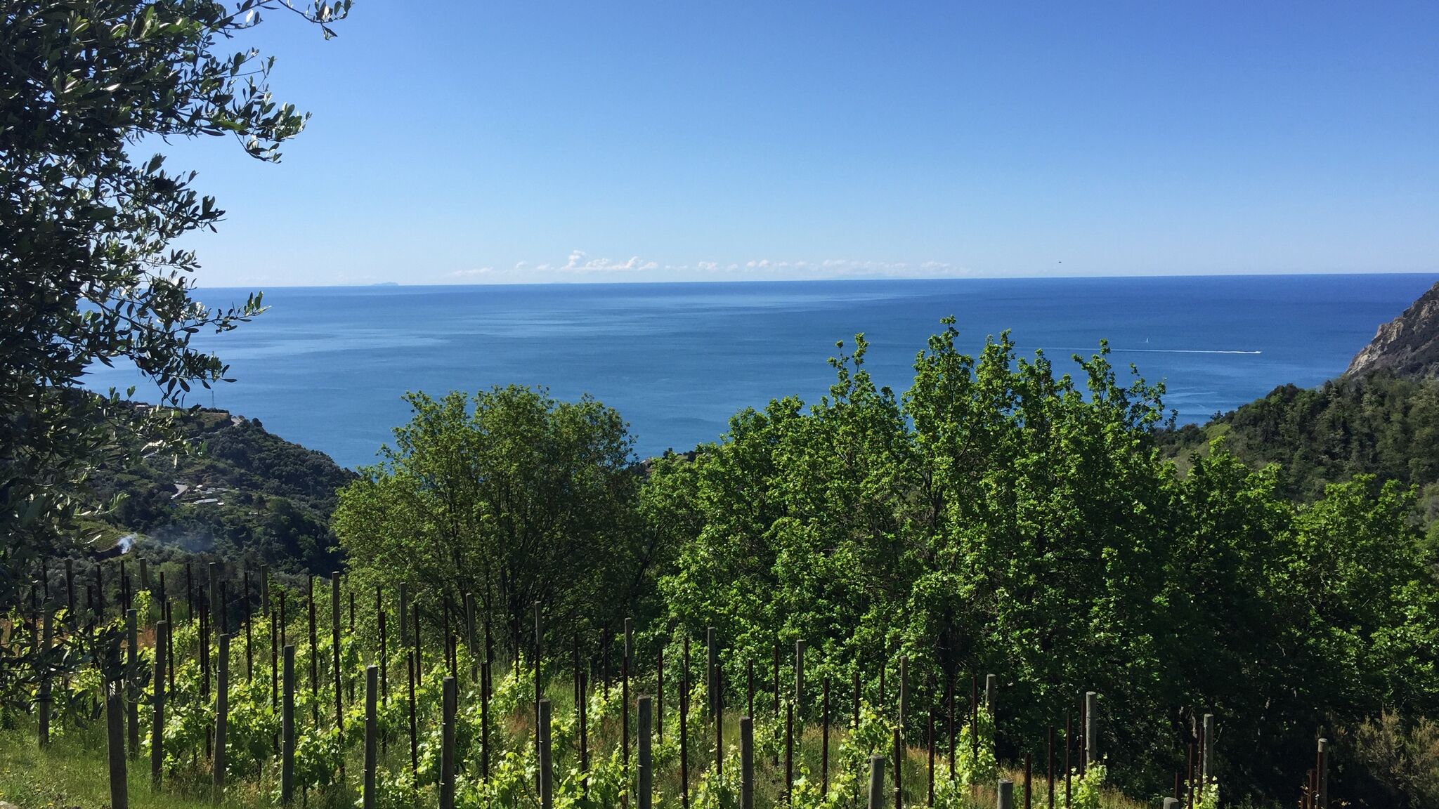 Italianway Monterosso al Mare Eremo della Maddalena, the oasis of the 5Terre
