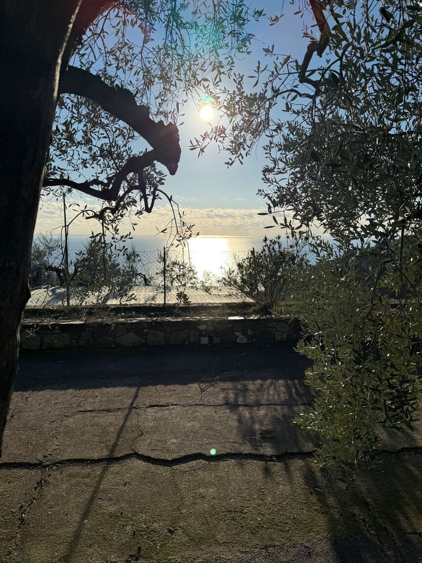 Italianway Andora L'Ulivo di Rollo