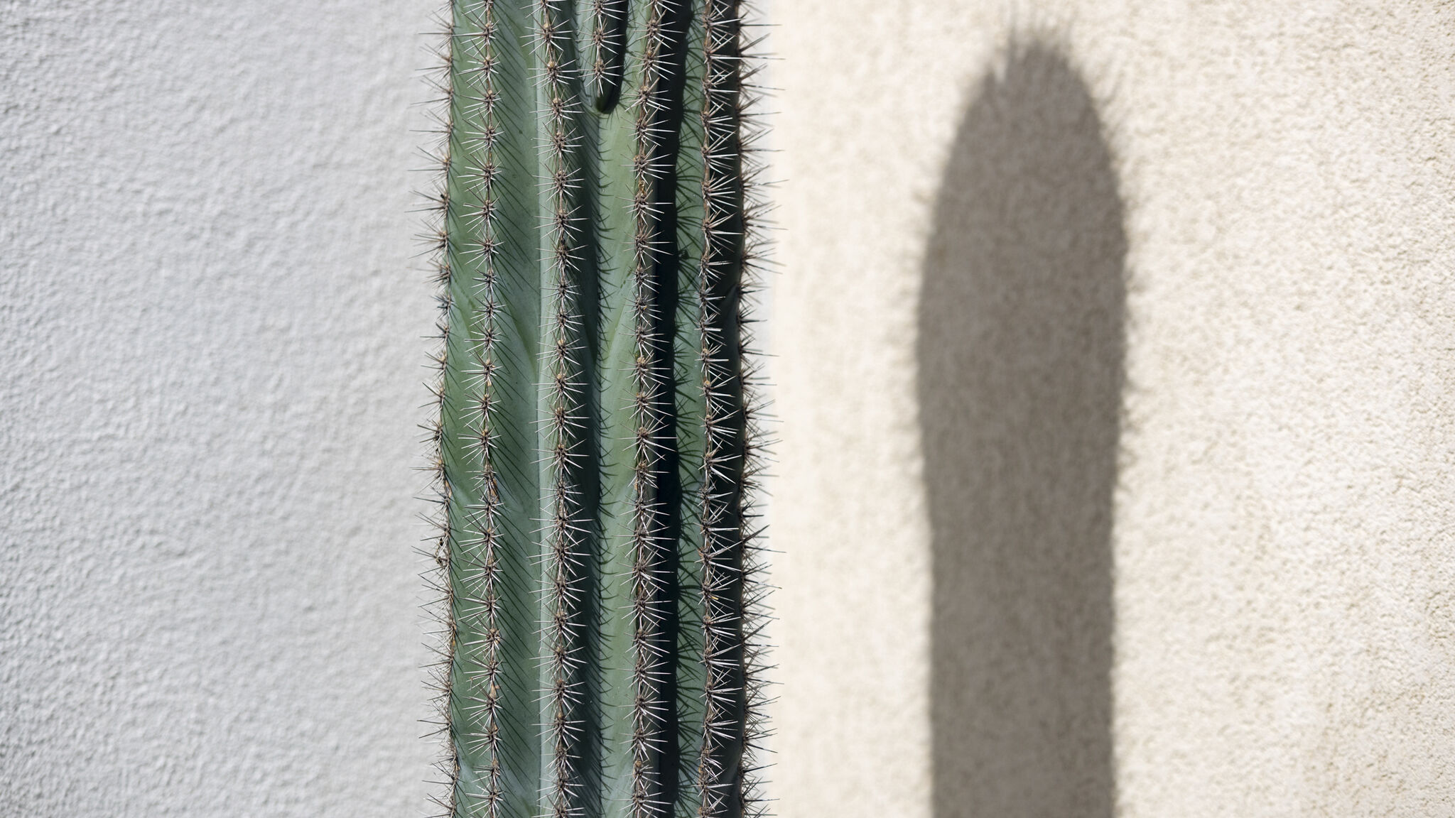 Italianway Ispica Villa Alti vista mare e piscina privata