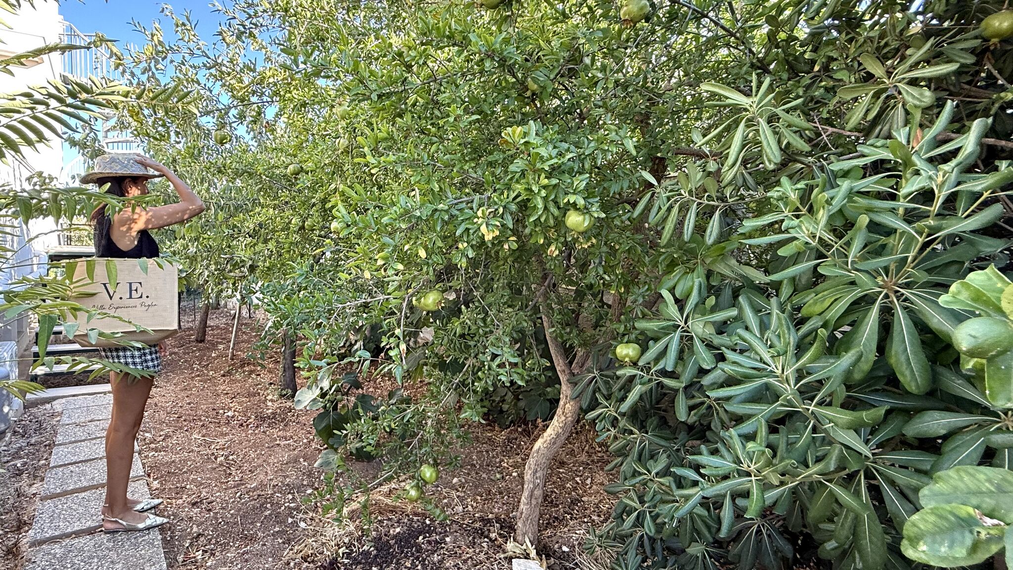 Italianway Mola di Bari Villa Grazia