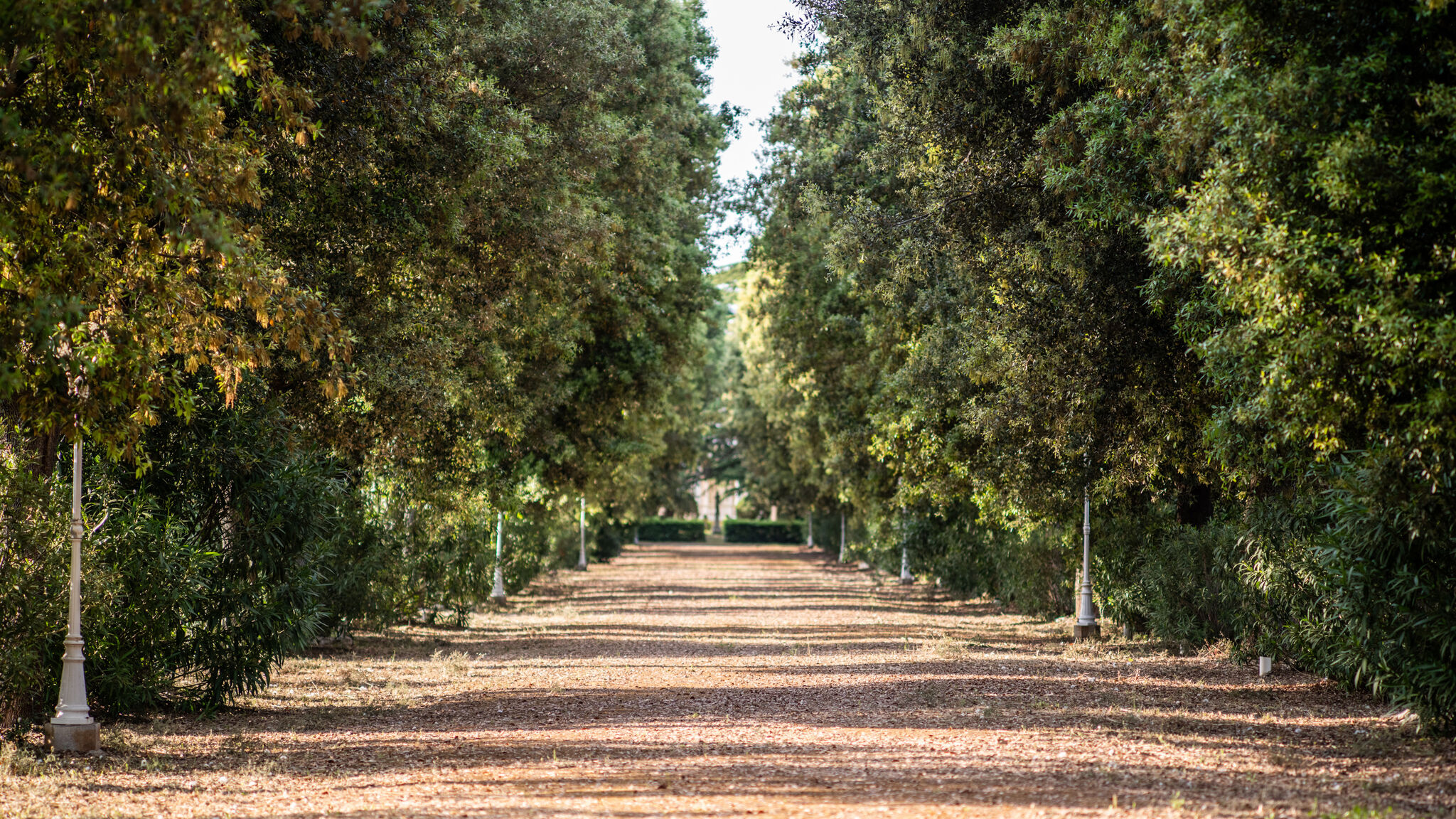 Italianway Monopoli Masseria Profilo 8