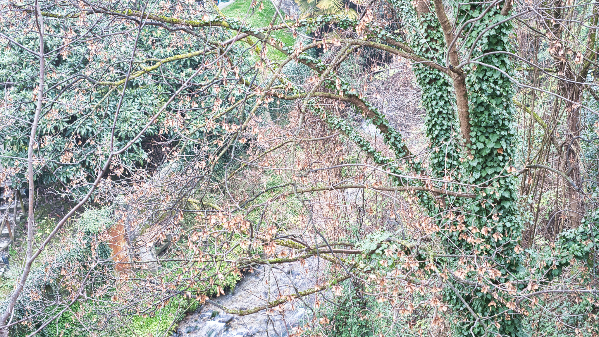 Italianway Lecco Cozy home away