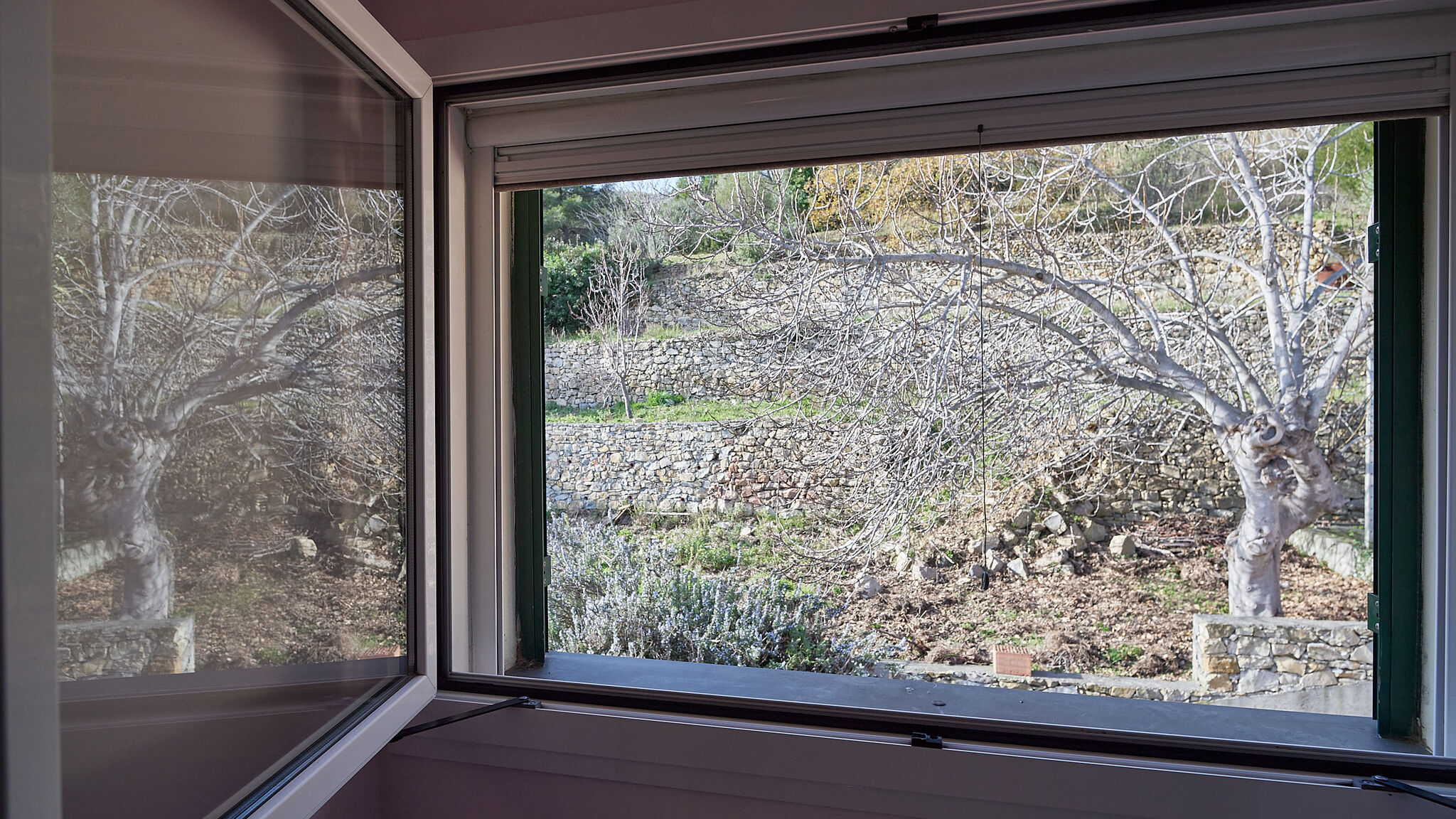 Italianway Andora La Riviera dei Colori