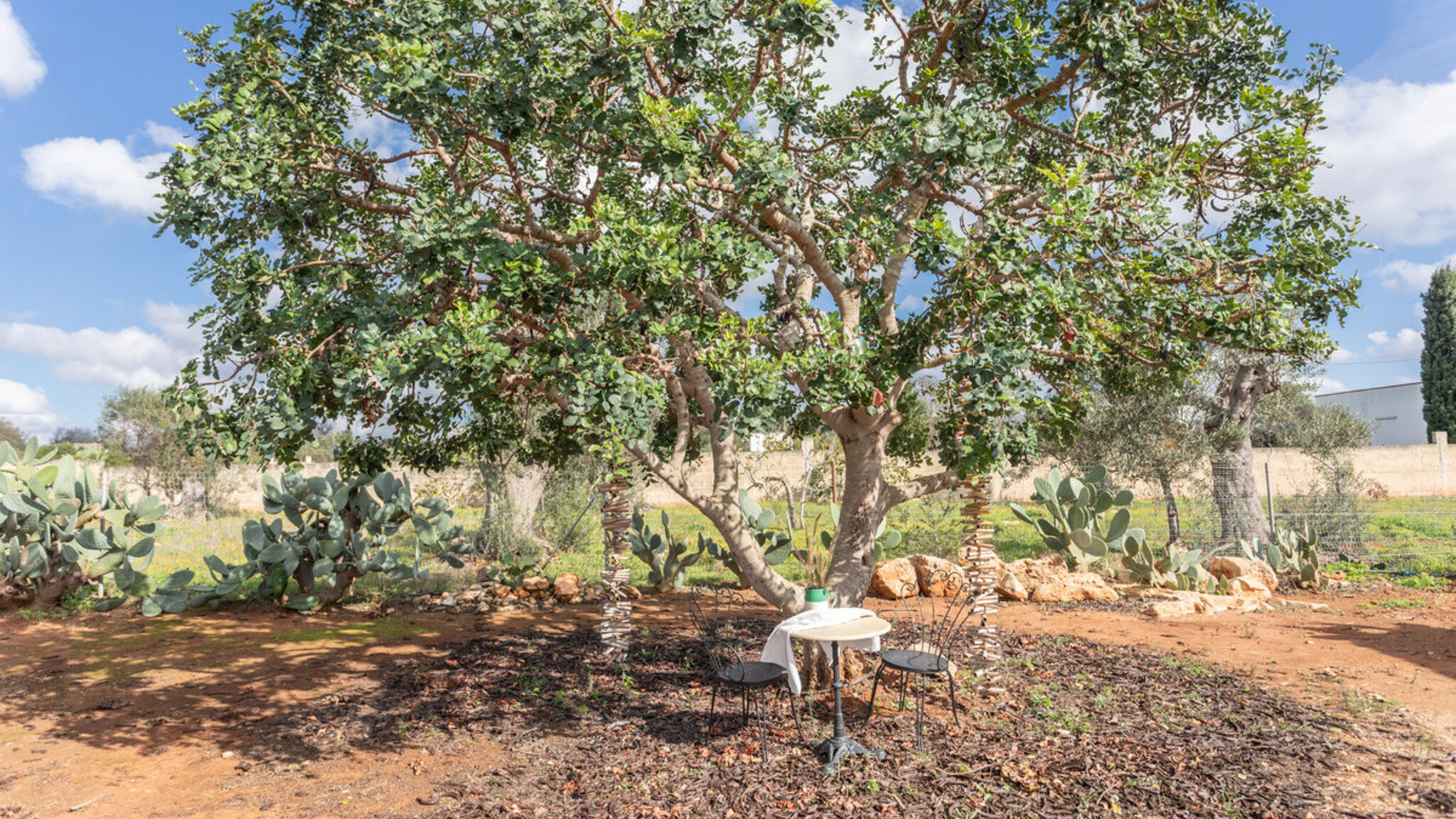 Italianway Racale Dimora Maria Camera 1 - Salento Reservation