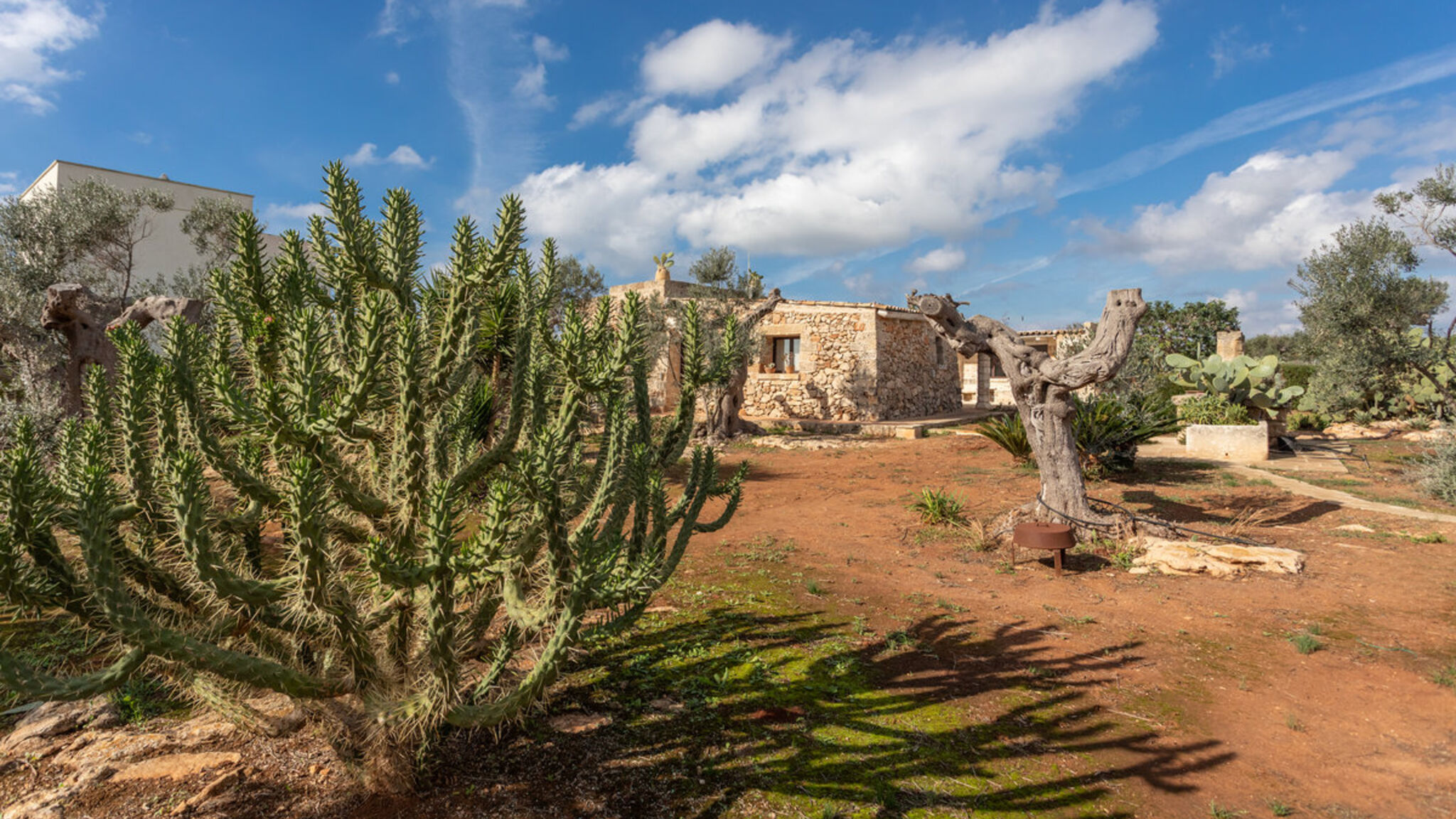 Italianway Racale Dimora Maria Camera 2 - Salento Reservation