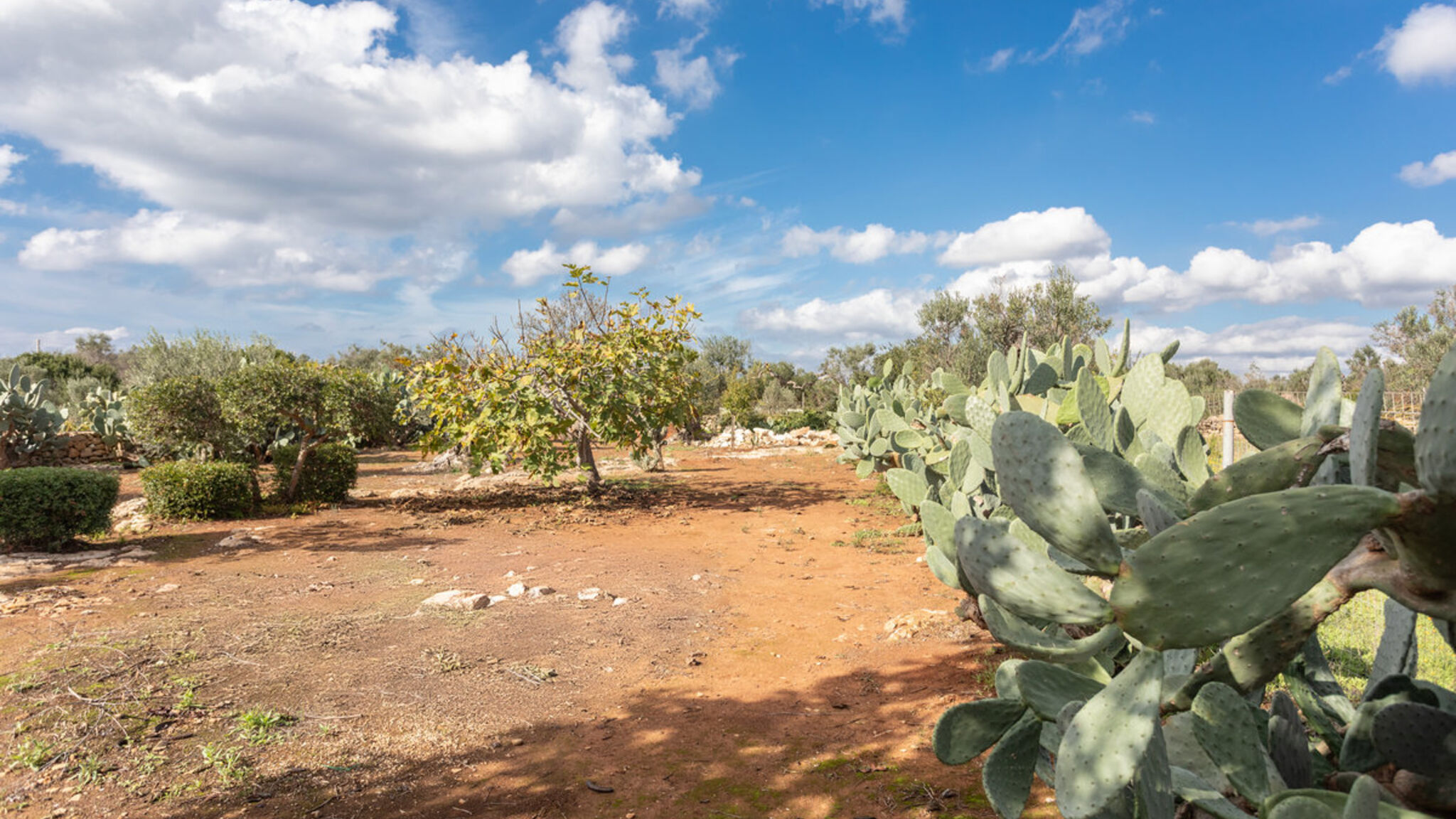Italianway Racale Dimora Maria Camera 2 - Salento Reservation